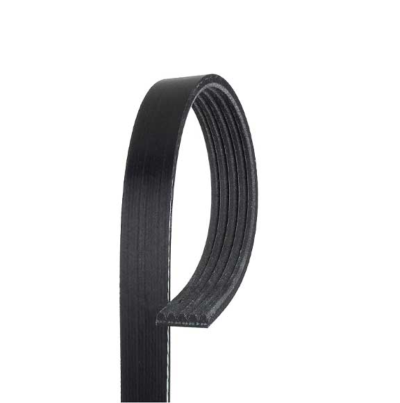 Autostar Germany V RIBBED BELT 5PK1310 For Mercedes Benz 0019938296