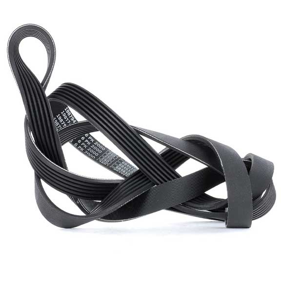 Autostar Germany V RIBBED BELT 6PK2445 For Mercedes Benz 0099971892