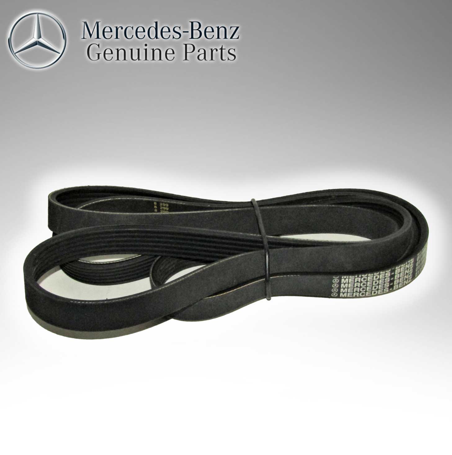 Mercedes Benz Genuine Belt 6 Pk-2205V 0119972192