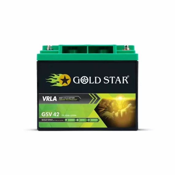 Goldstar VRLA Battery 12V 42AH GSV42 (E-EX)