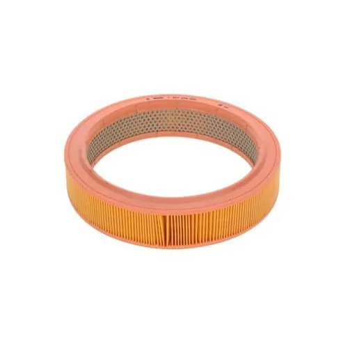 Volkswagen Golf/Passat Air Filter