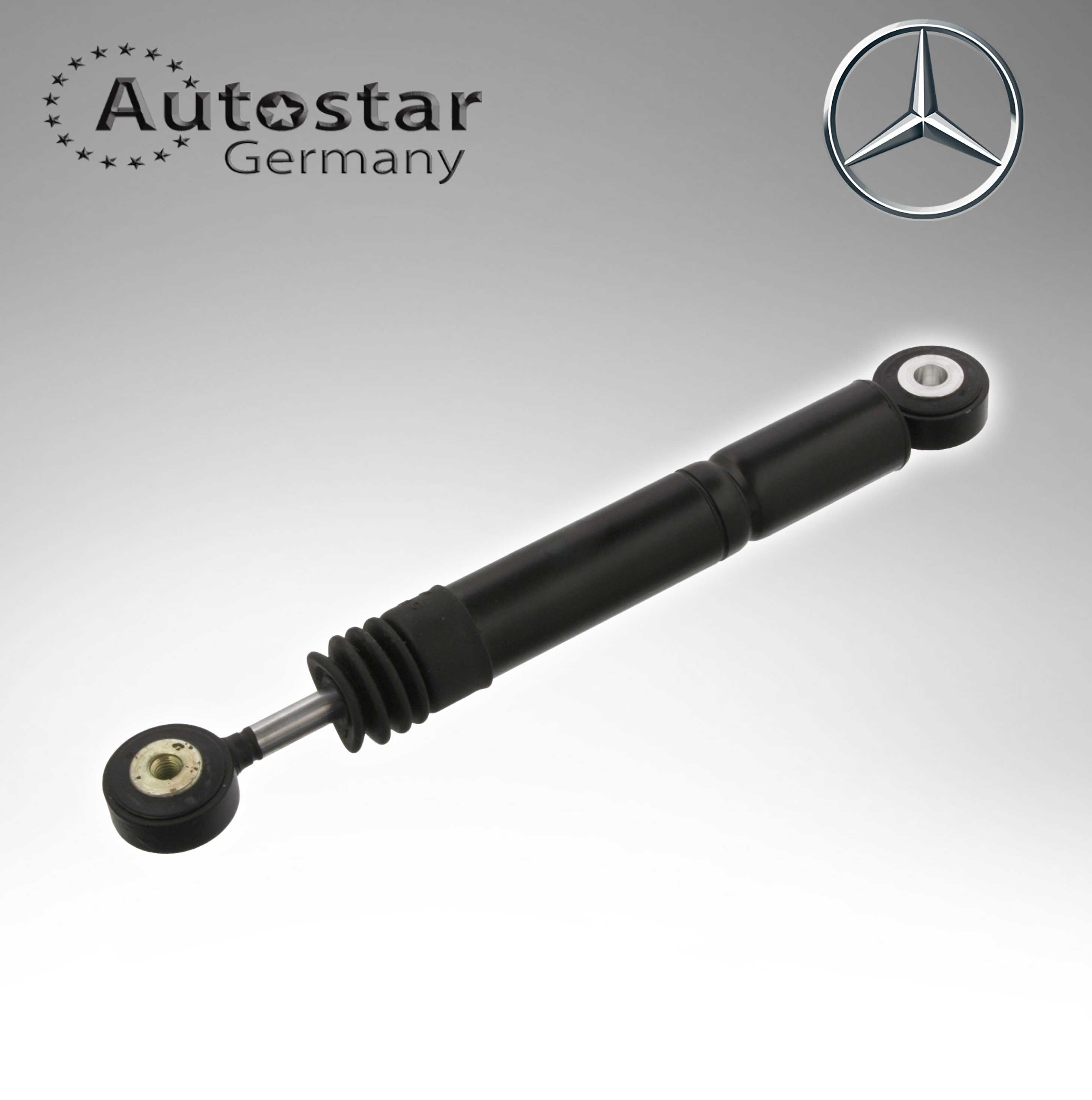 Mercedes Benz BELT TENSIONER DAMPER 1022001414