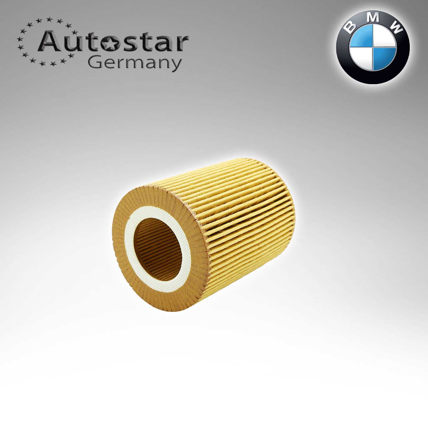 BMW OIL FILTER (100) 11427512300