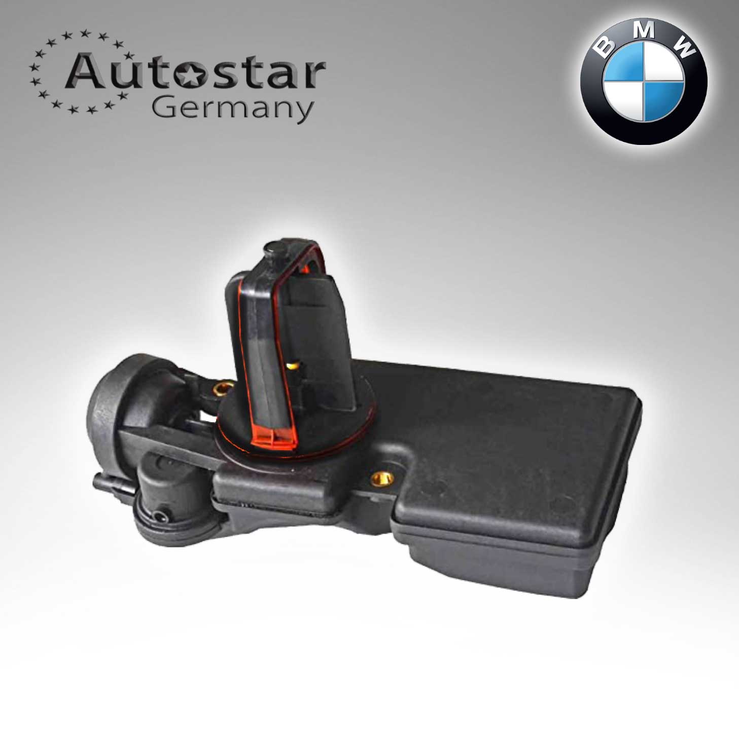 BMW INTAKE MANIFOLD SYSTEM 11617544806