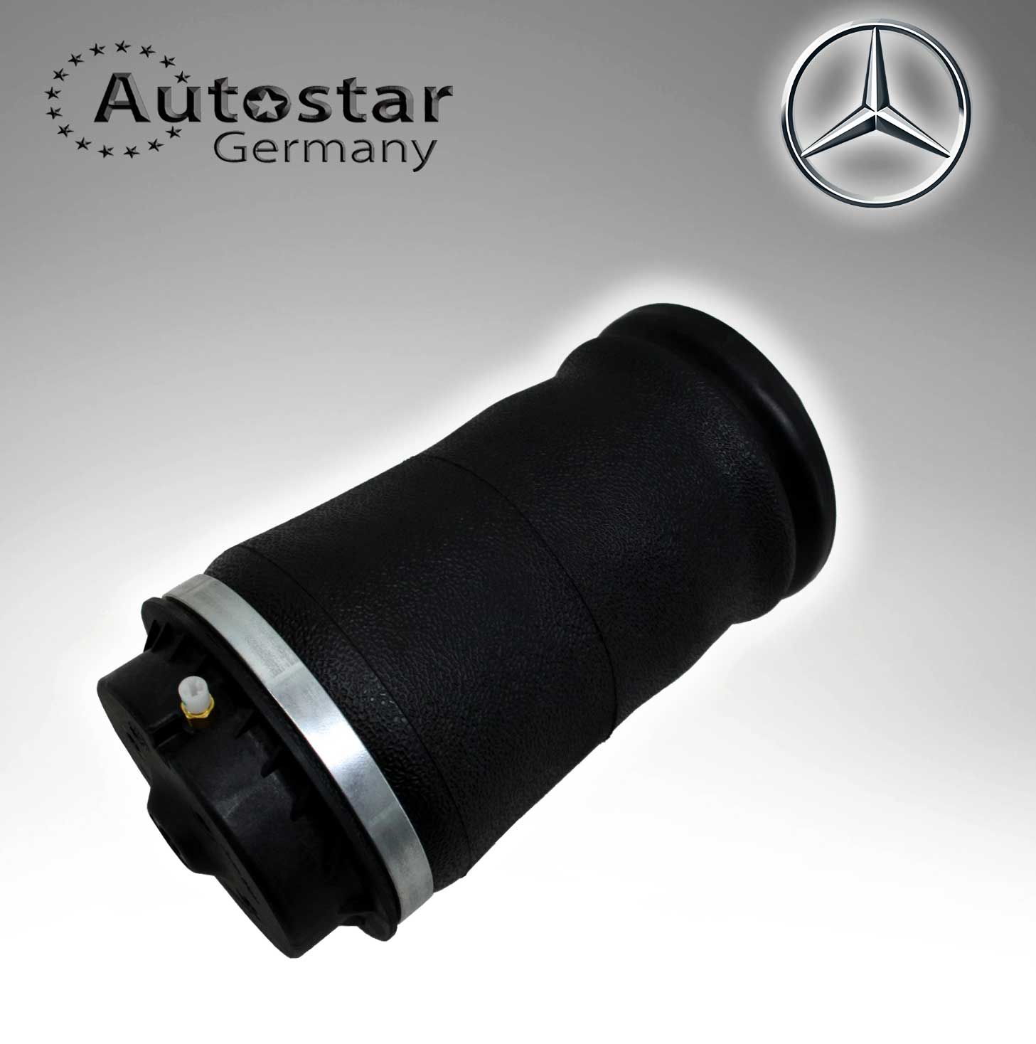Mercedes Benz AIR SPRING 1663200625