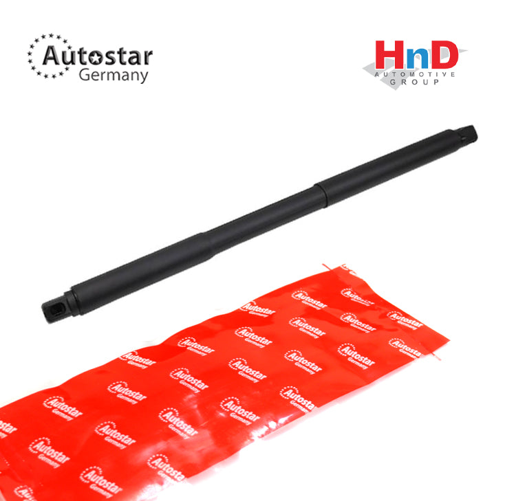 Autostar Germany Tailgate strut Left Rear MERCEDES-BENZ ML-Class (W166) 1669802164