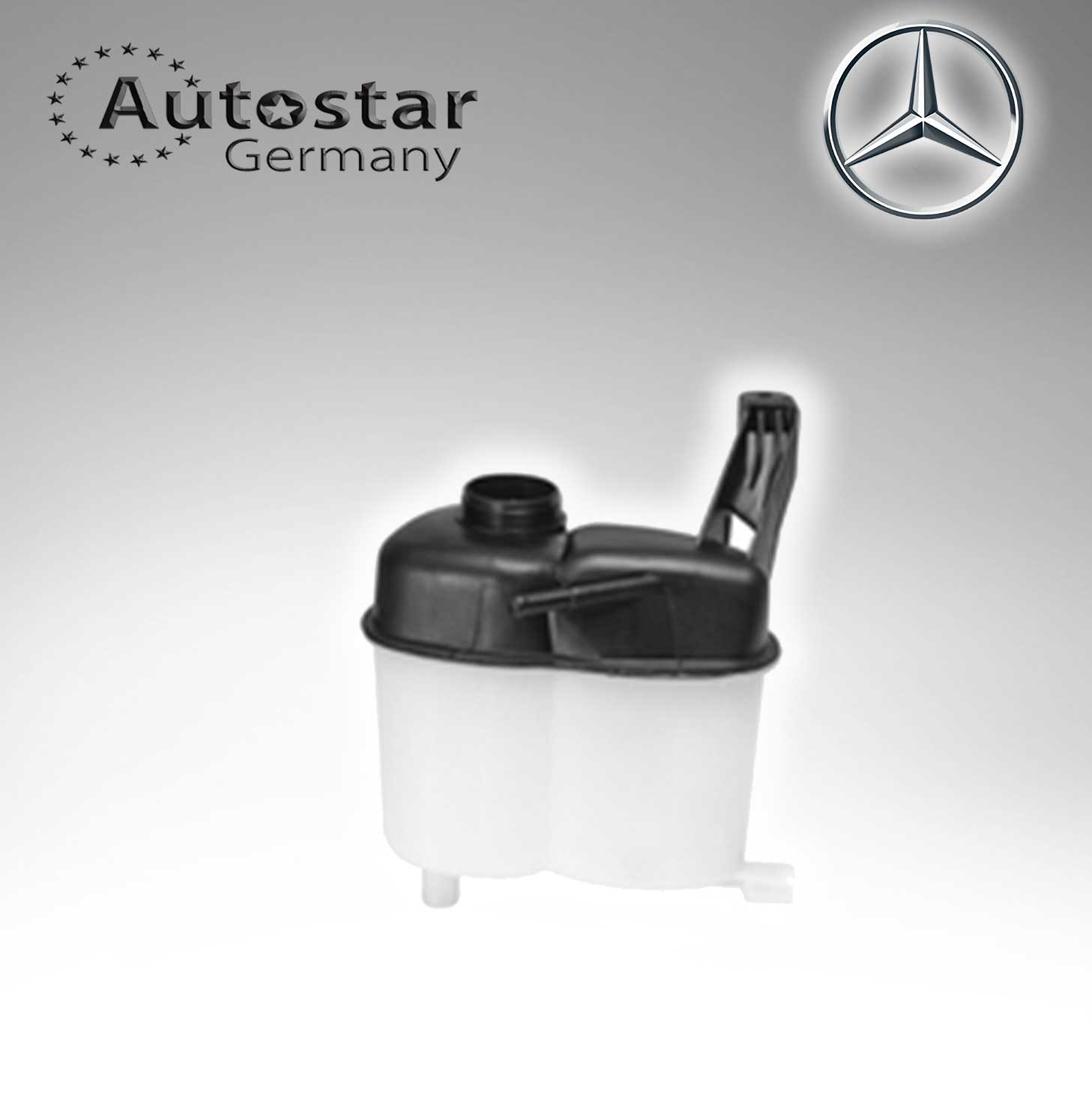 Mercedes Benz EXPANSION TANK 1695000049