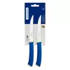 Tramontina Felice Barbecue Knife 5'' Stainless Steel Blades, Smooth Edge and Blue Polypropylene Handles 2pc Set 23493/215