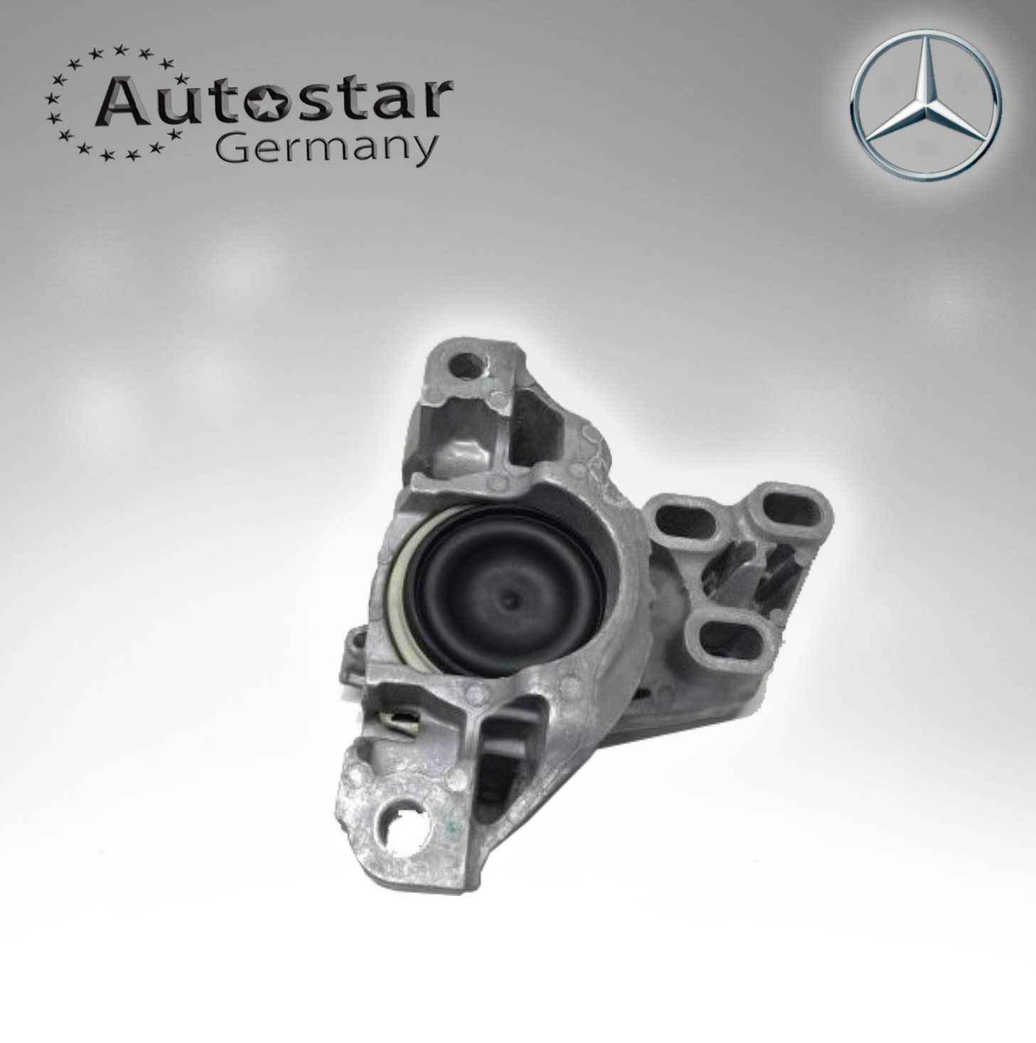 Mercedes Benz Transmission Mount 2462400217