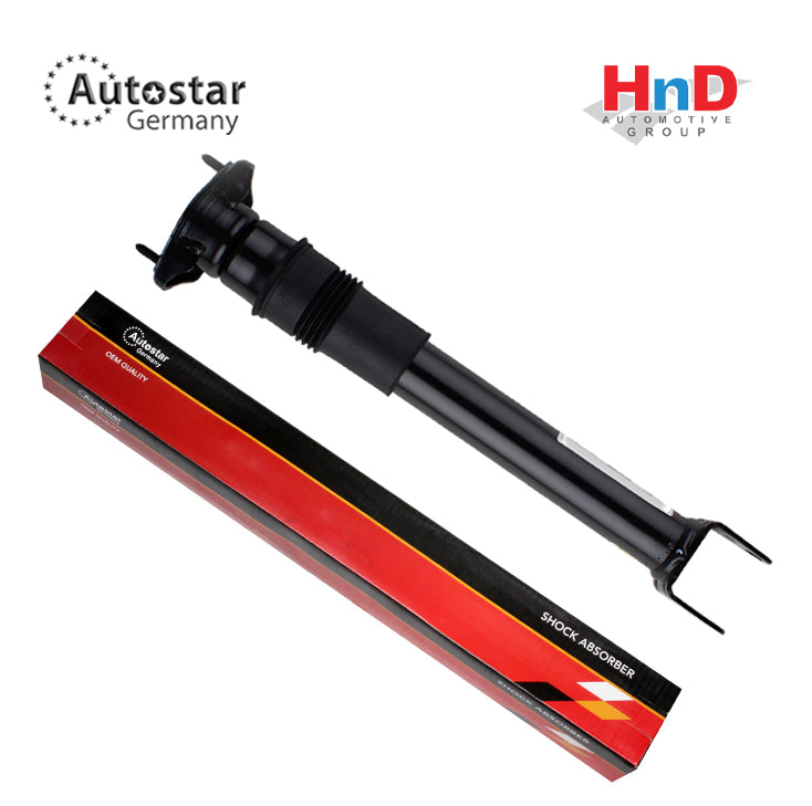 Autostar Germany Shock absorber Rear Axle,MERCEDES-BENZ R-Class (W251, V251) 2513202131