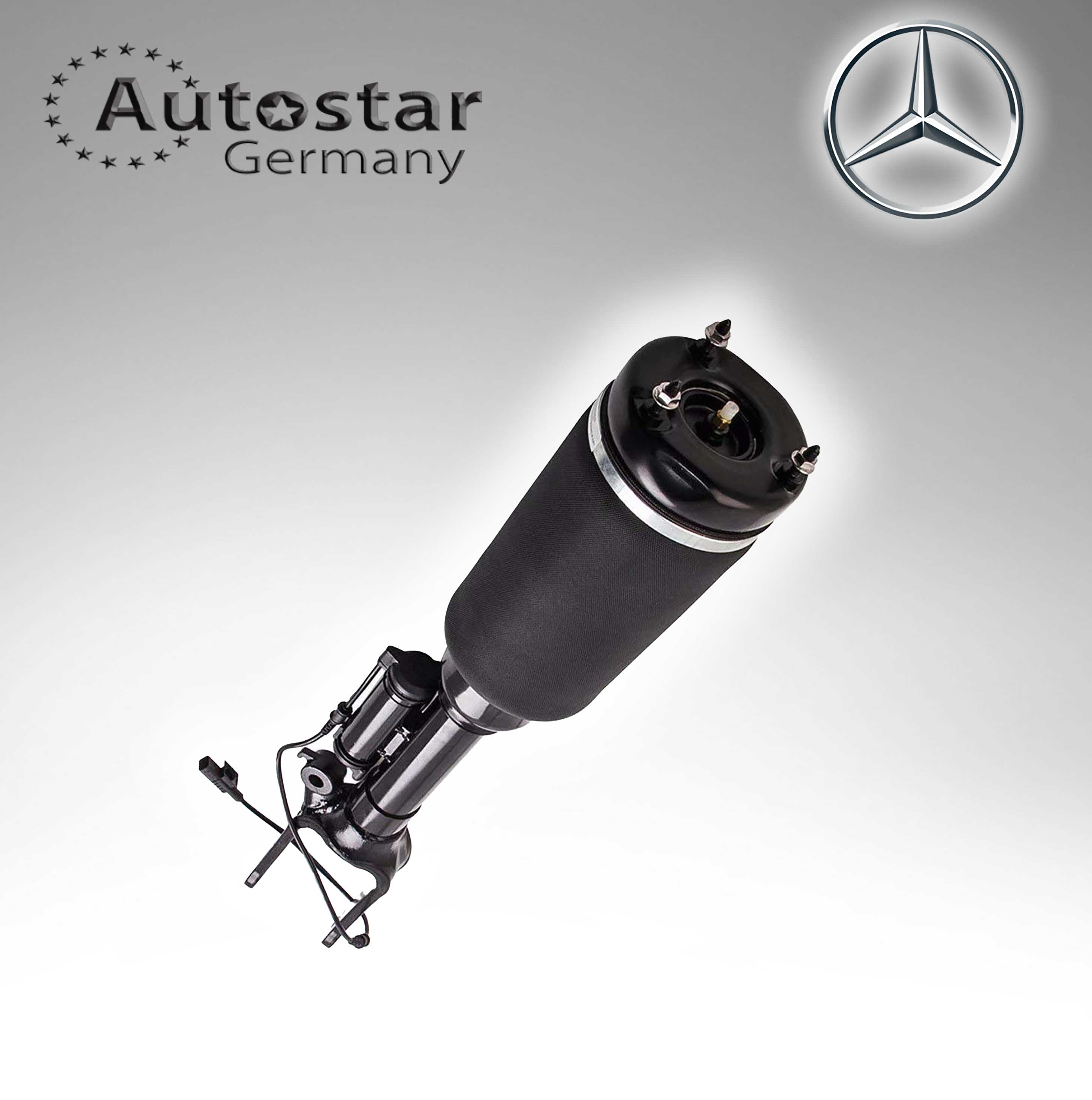 Mercedes Benz Shock Absorber L+R BRAND NEW  2513203013