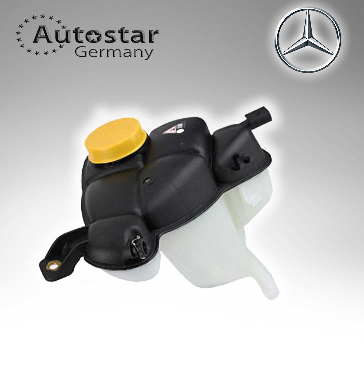 Mercedes Benz EXPANSION TANK 2515000049