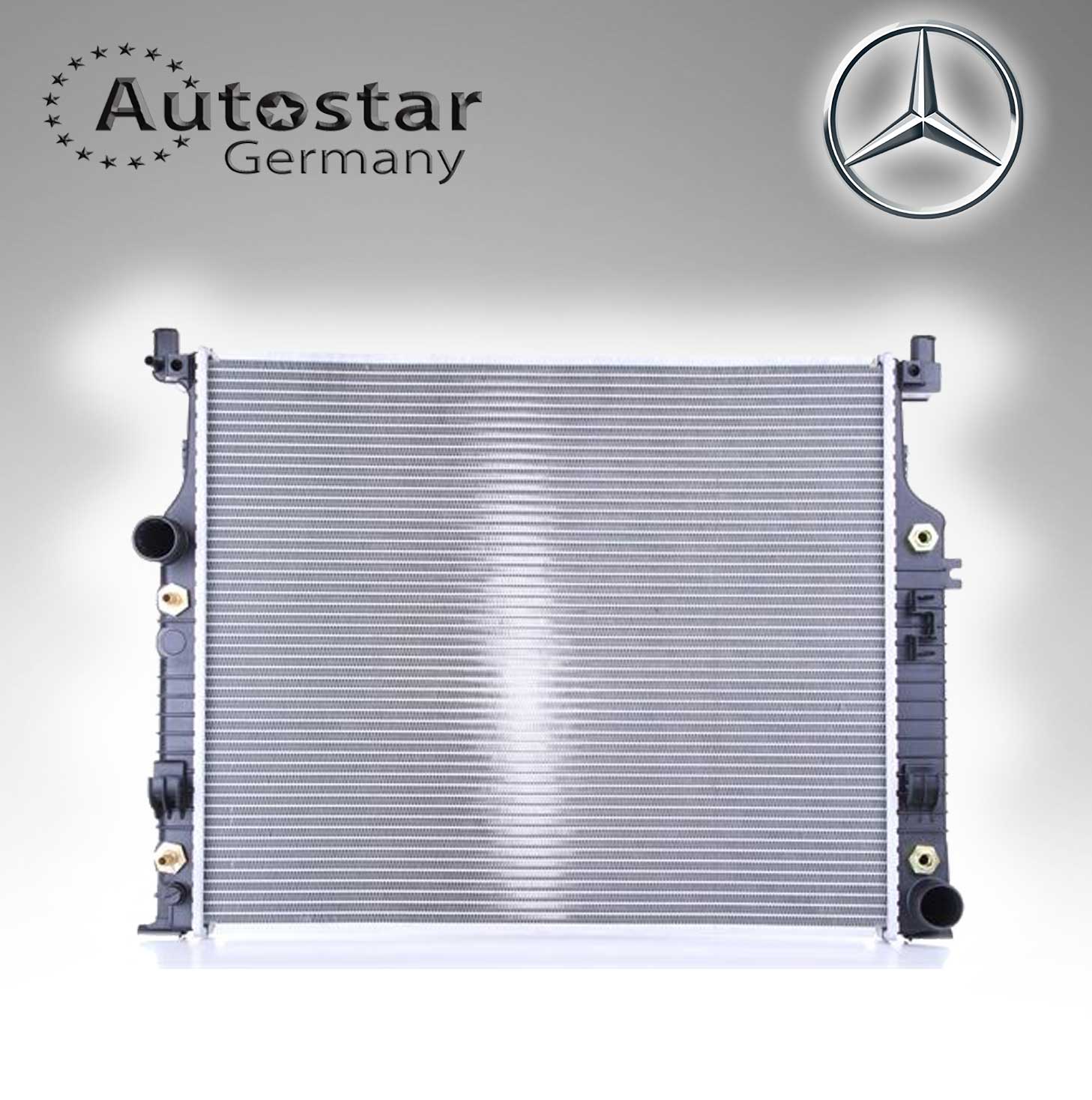 Mercedes Benz RADIATOR W164 W251 R350  2515000403
