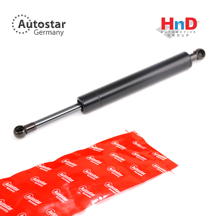 Autostar Germany BONET SHOCK MERCEDES-BENZ R-Class W251, V251 2517400045