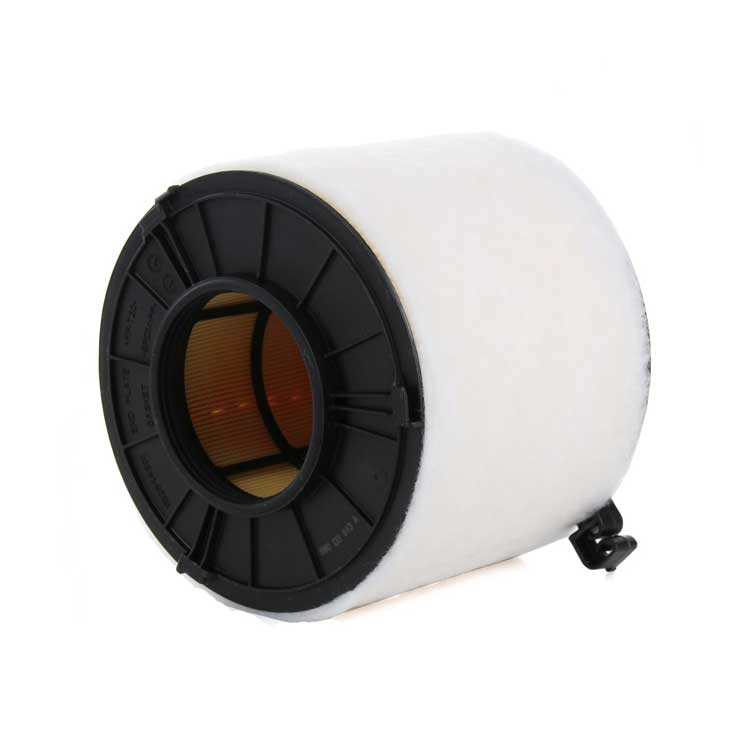 Autostar Germany (AST-256600) AIR FILTER For Audi A4 A5 Q5 8W0133843A