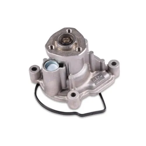 Volkswagen Jetta/Polo Water Pump