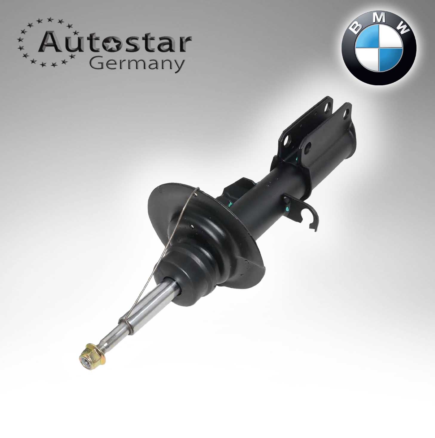 BMW Shock Absorber X5/ E53 FRONT  31306754342