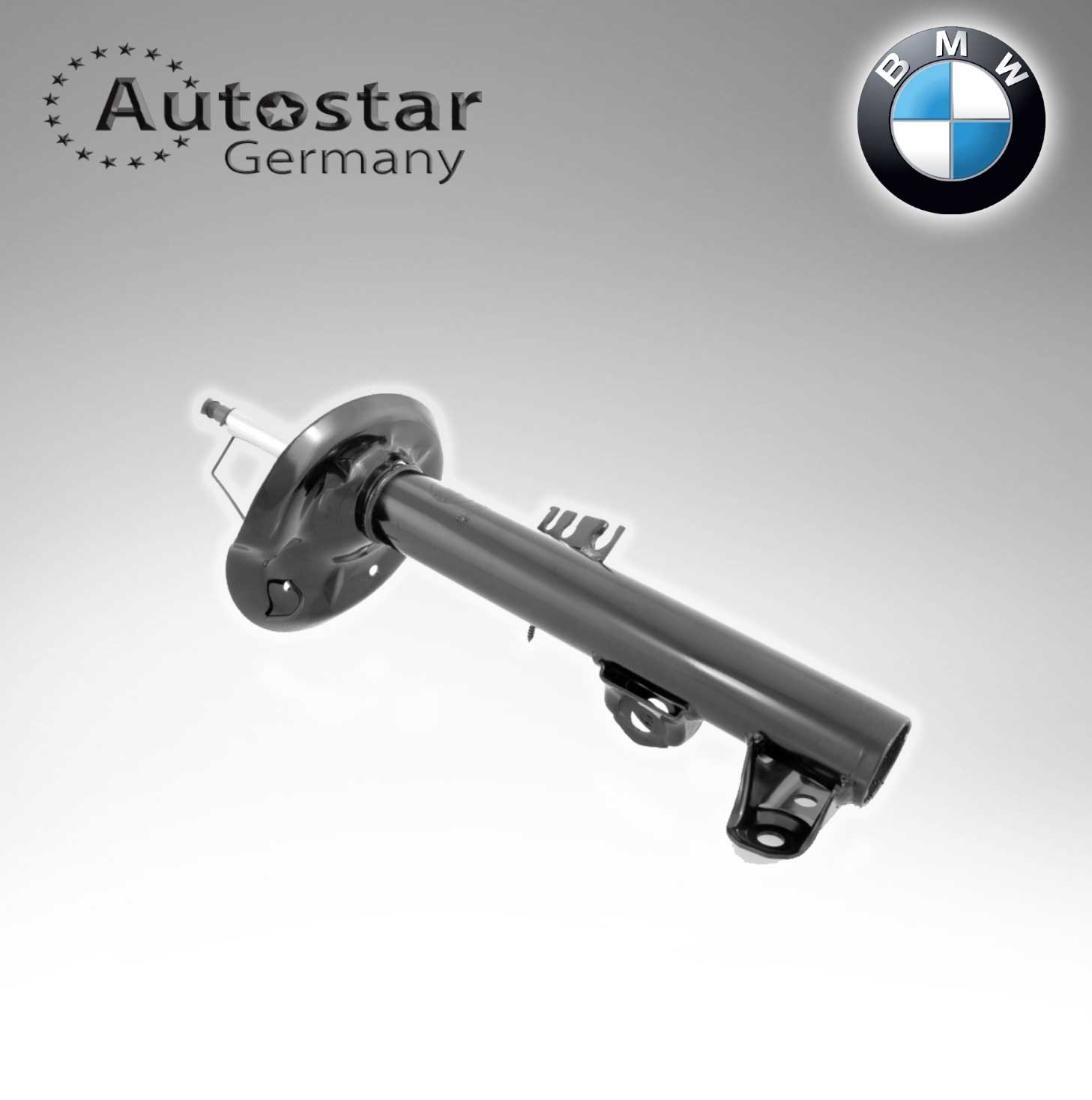 BMW SPRING STRUT FRT. R. E36  31311090712