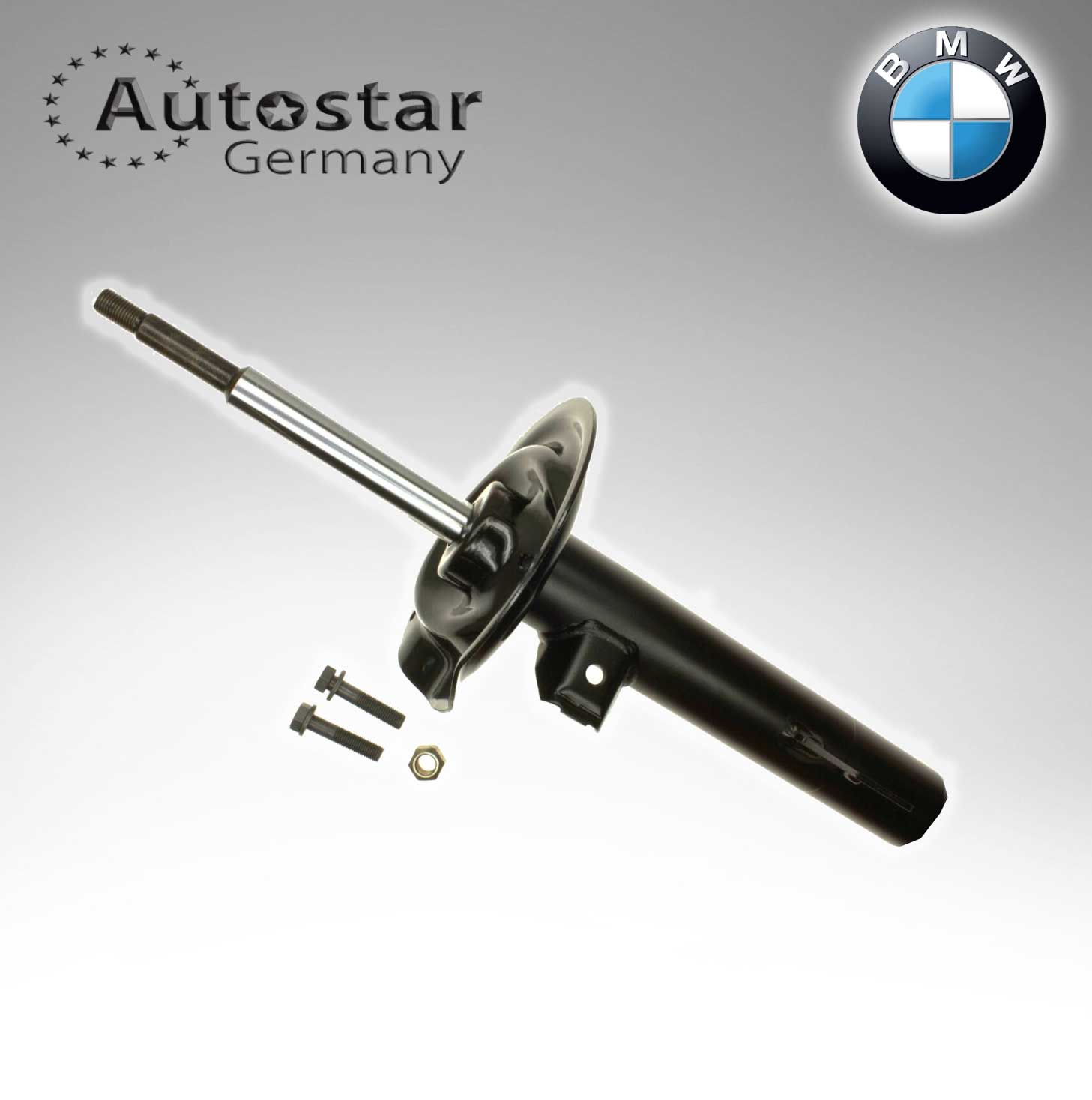 BMW SPRING STRUT E38 F/L  31311091569