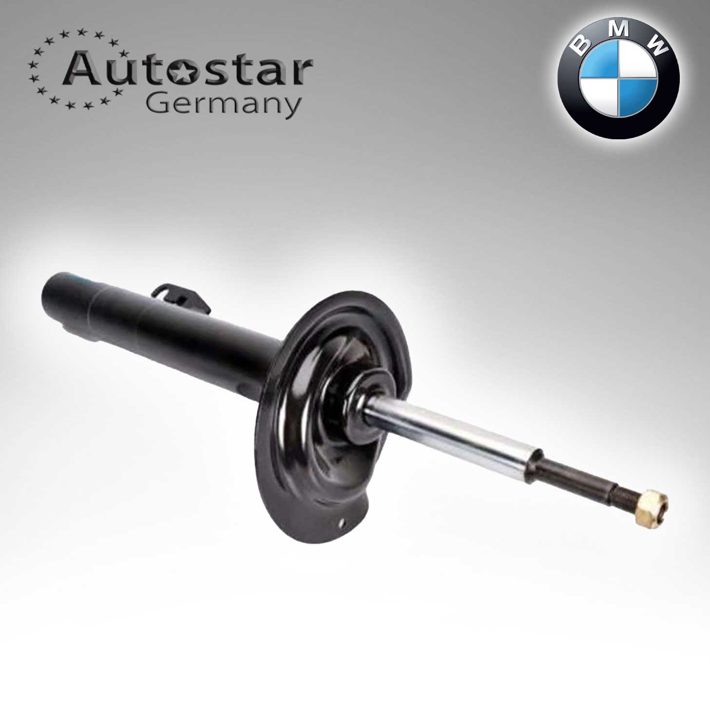 BMW SPRING STRUT E38 F/R  31311091570