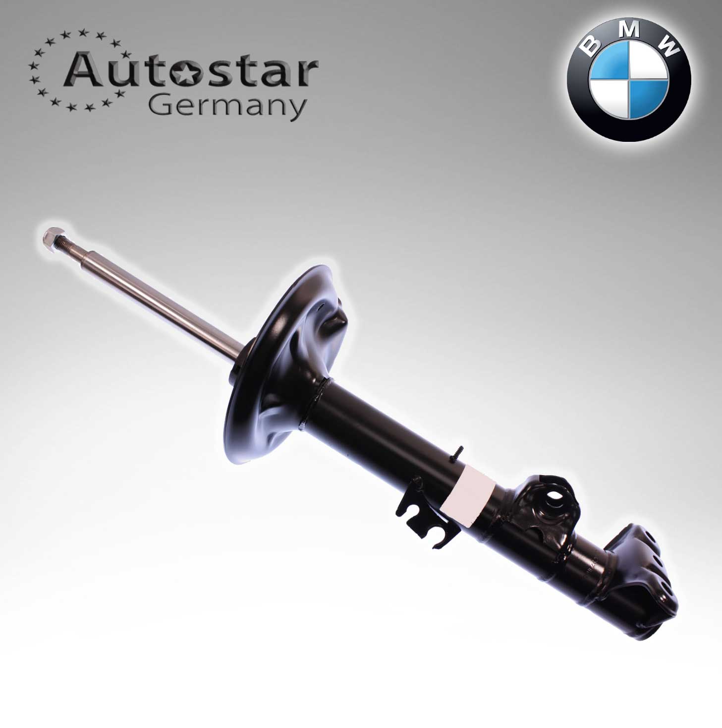 BMW SPRING STRUT F/L E36  31311091773