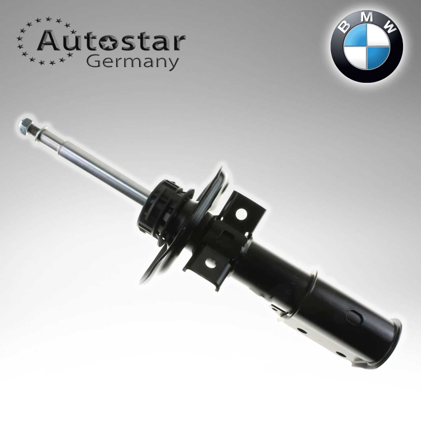 BMW SPRING STRUT F/R  E36  31311091774