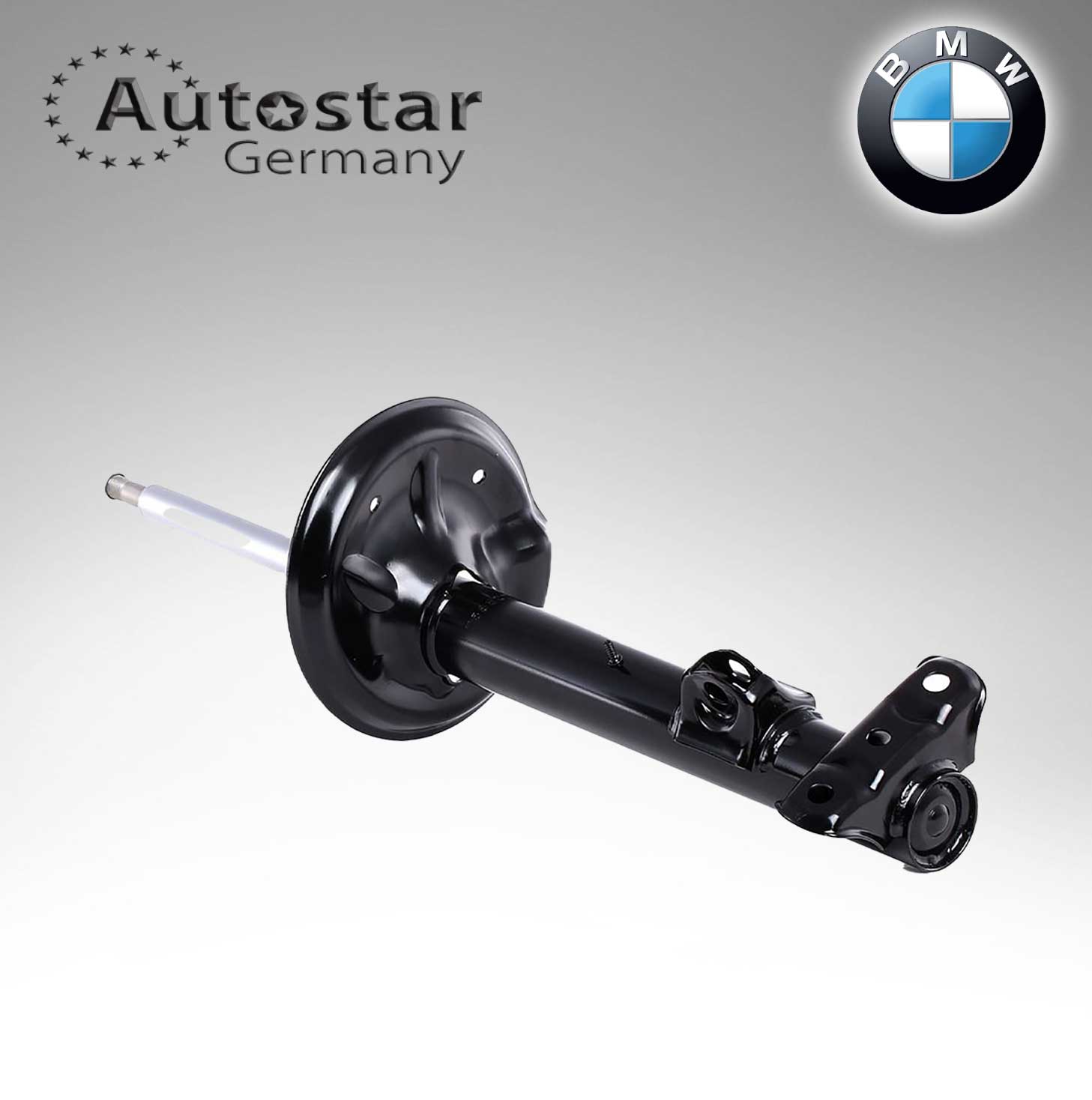 BMW Shock Absorber E 36  31311092308