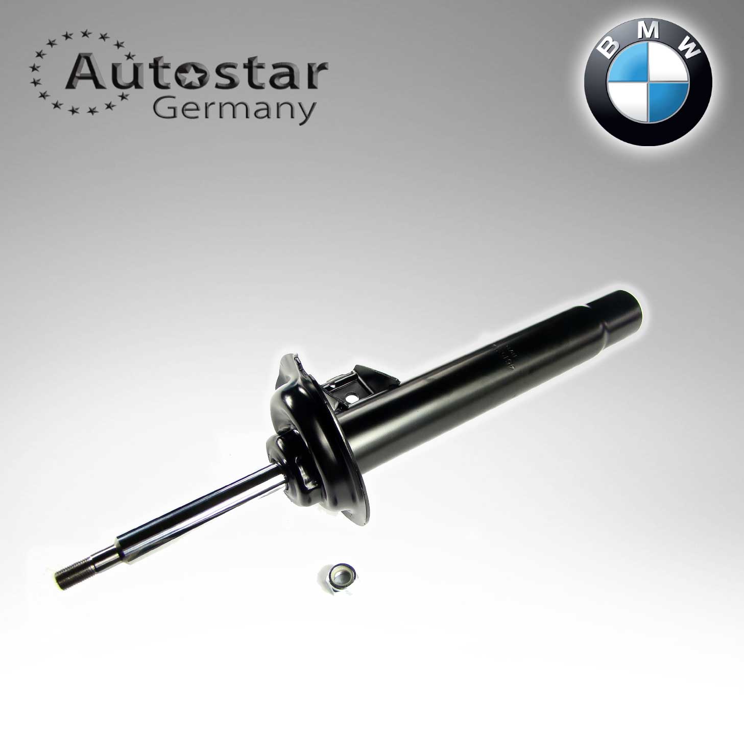 BMW SPRING STRUT-E46 F/R  31311094562