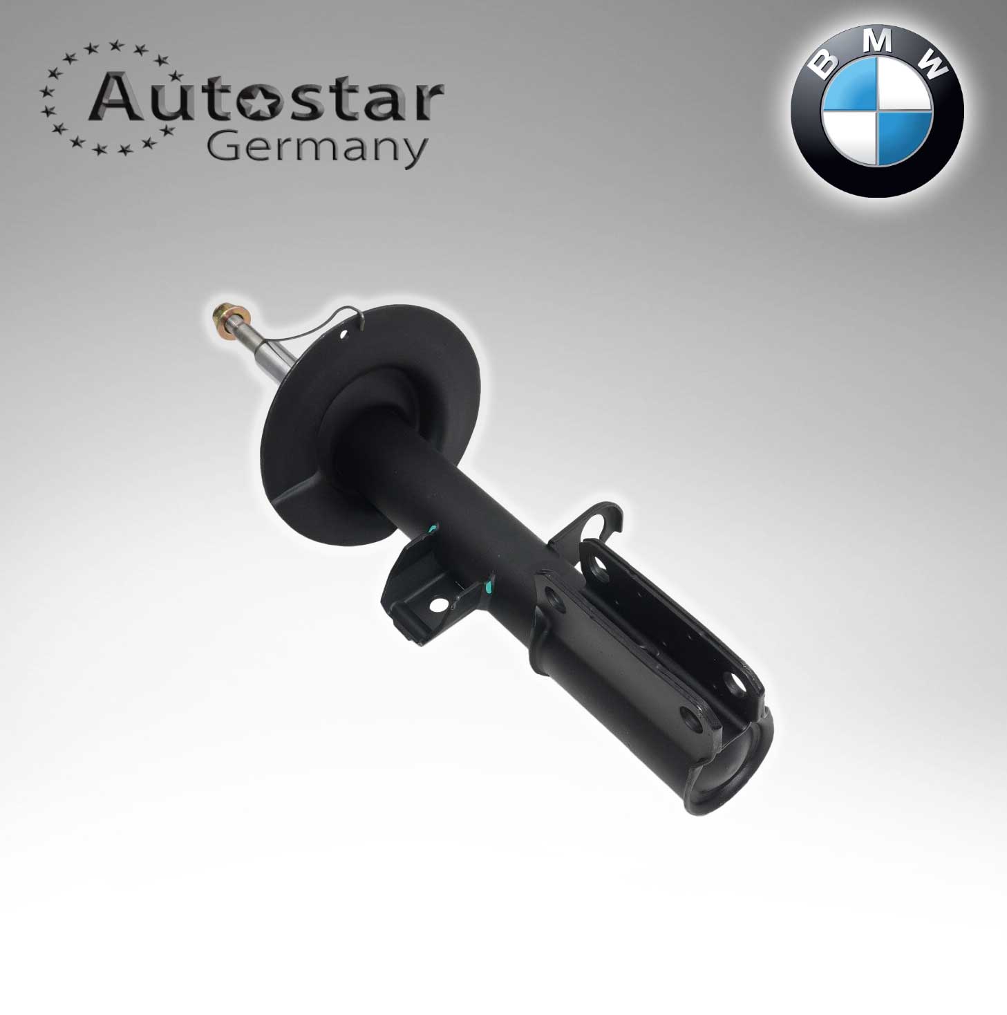 BMW SPRING STRUT X5 F/L  31311096271