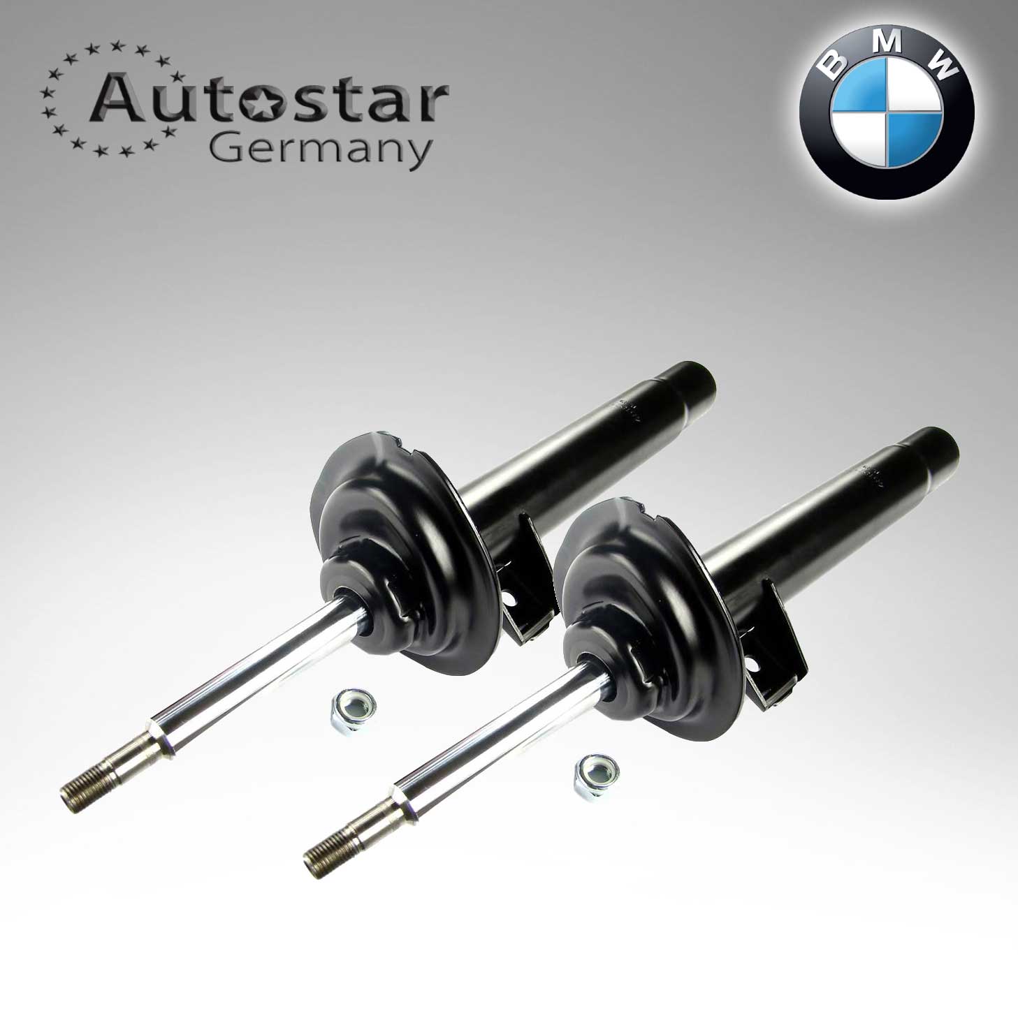 BMW Shock Absorber E46 F/L  31311096849