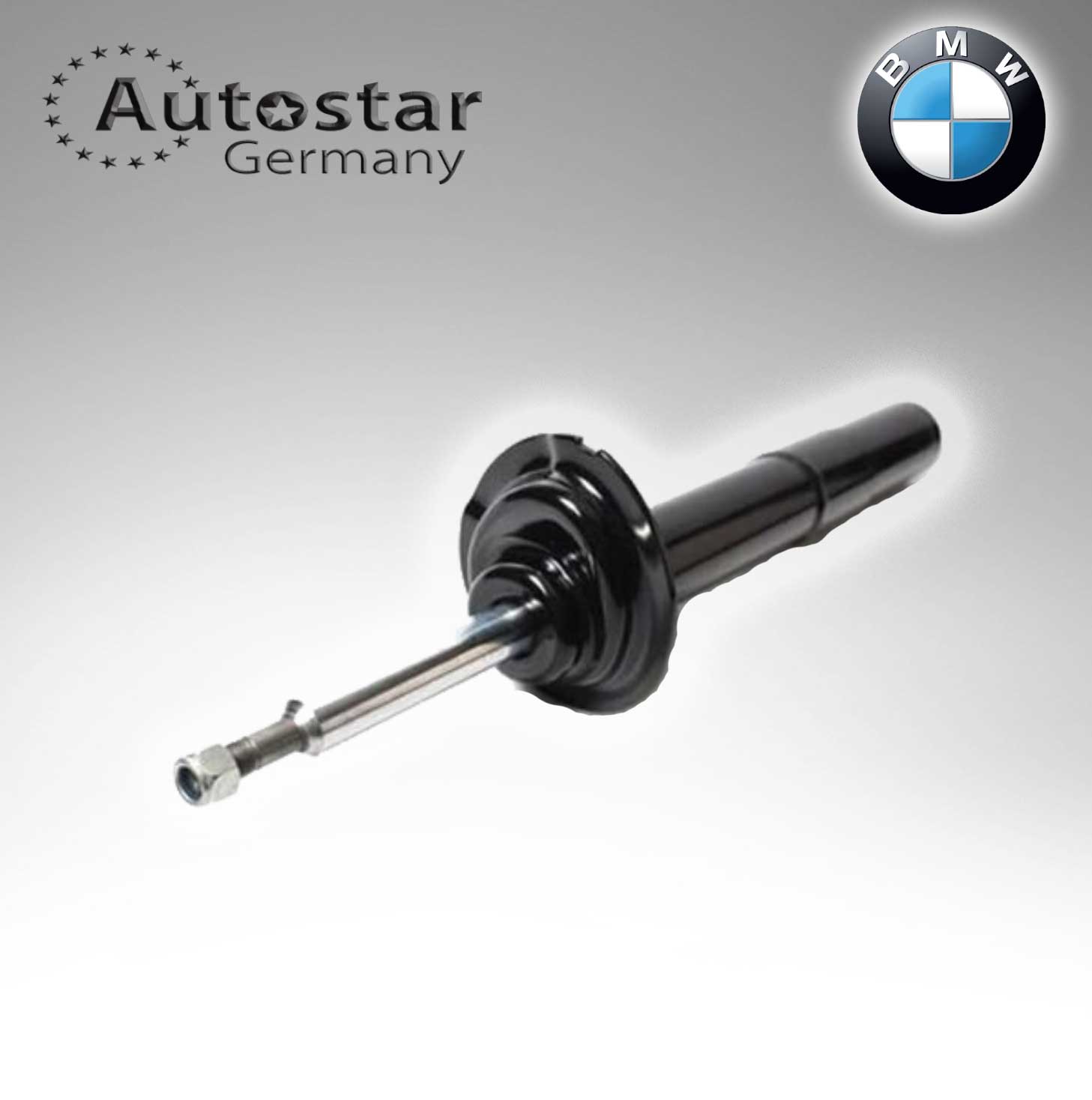 BMW SHOCK ABSORBER E39 FRONT 31311096858