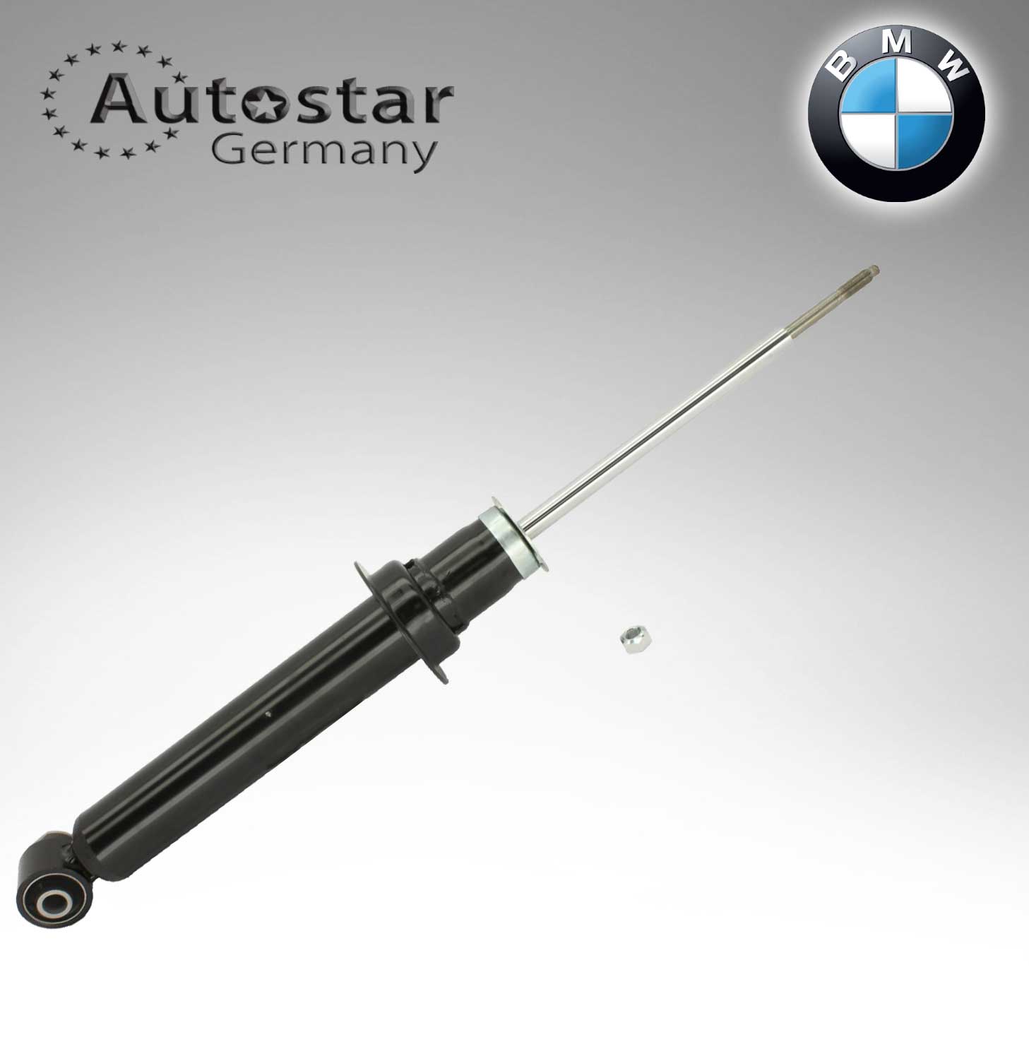 BMW SPRING STRUT FRONT E39  31311096864