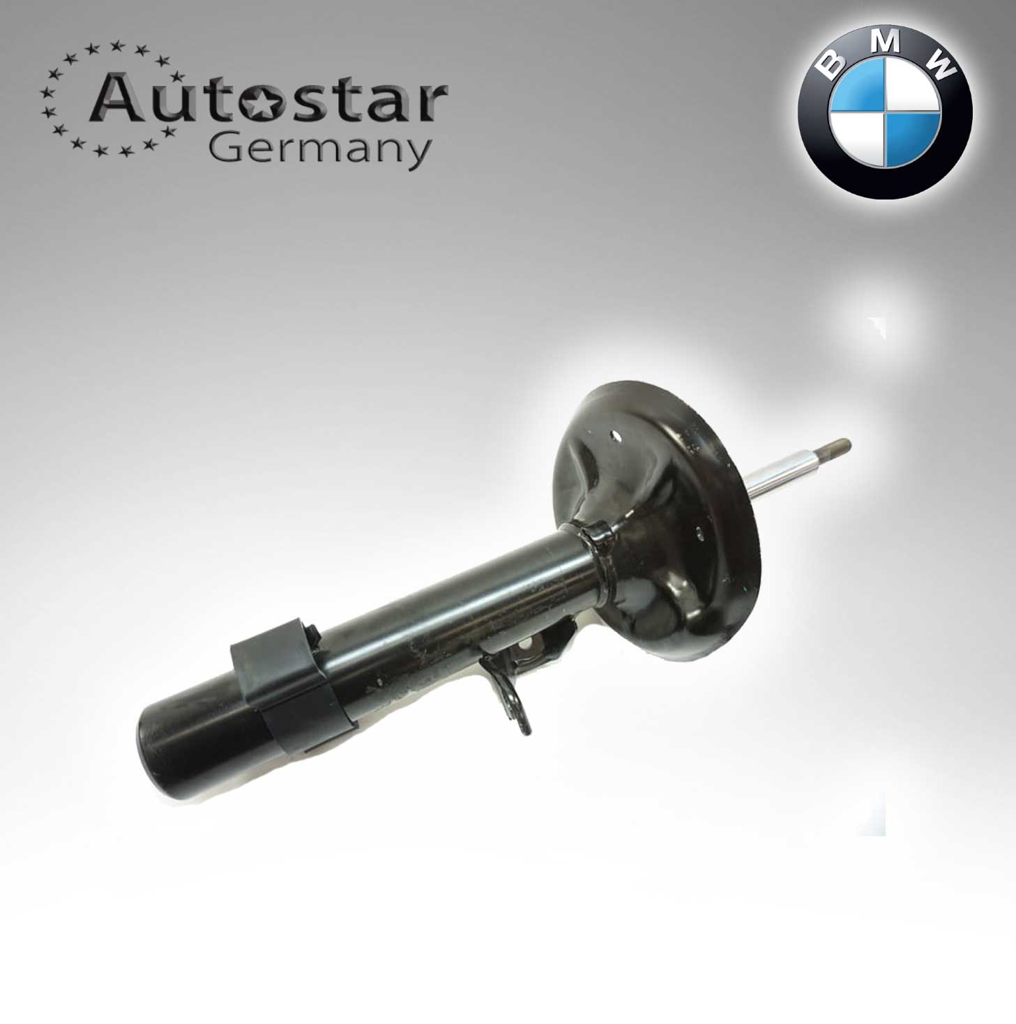 Autostar Germany SHOCK ABSORBER FRONT LH For BMW X3 31313453521