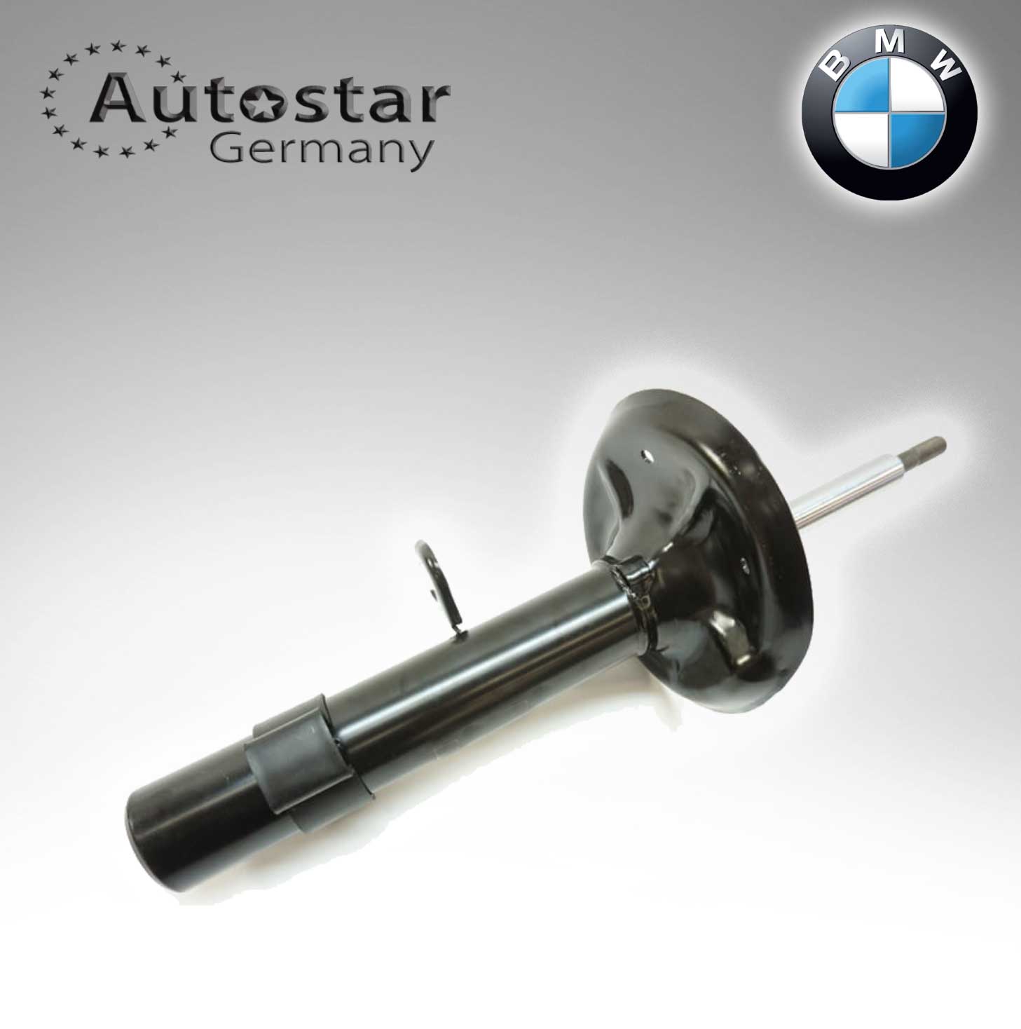 BMW SHOCK ABSORBER FRONT X3 RH 31313453522