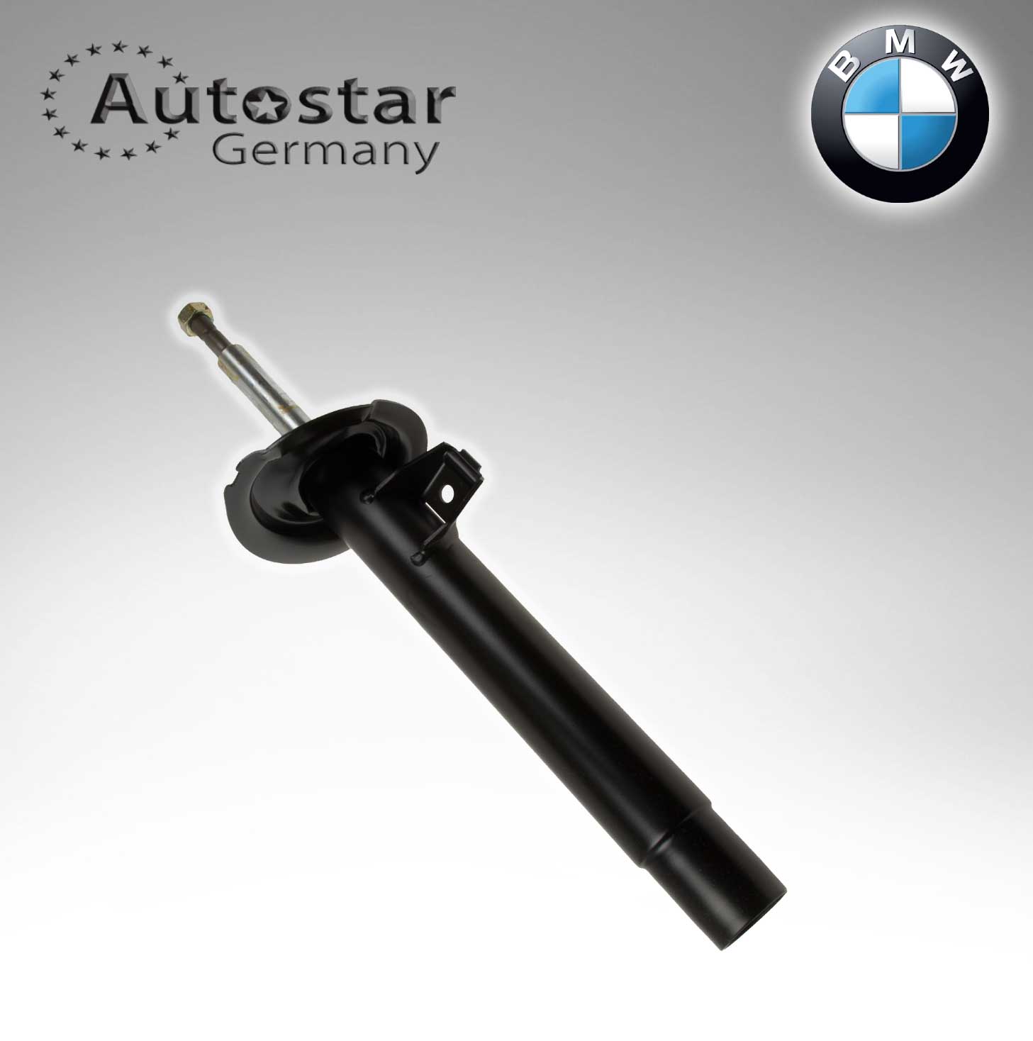 BMW SPRING STRUT FRONT L E46  31316750791