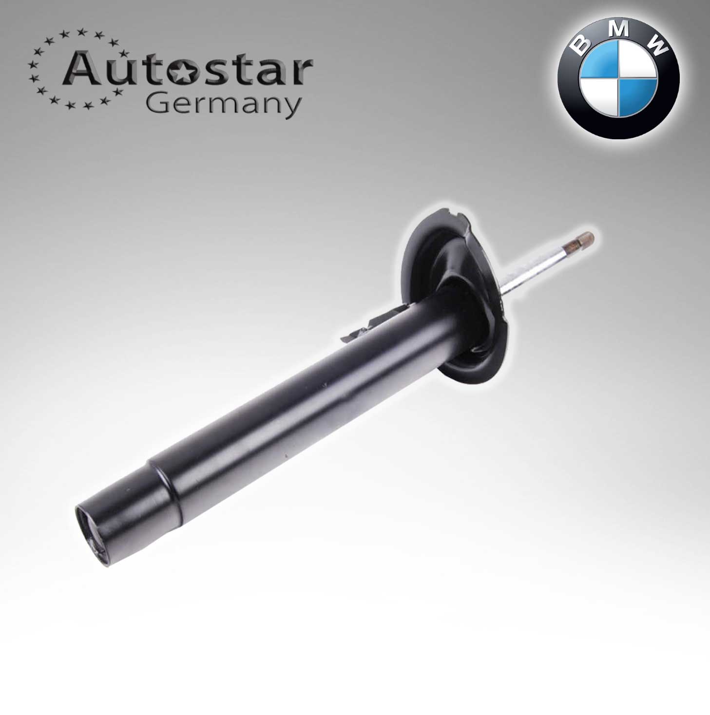 BMW SPRING STRUT FRONT R E46  31316750792