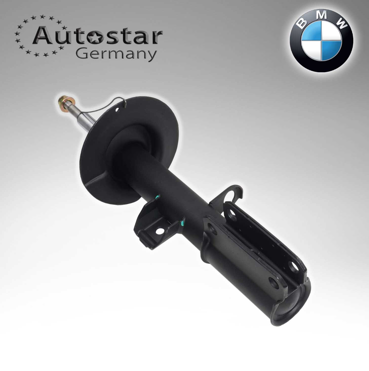 BMW SPRING STRUT E53  31316764601