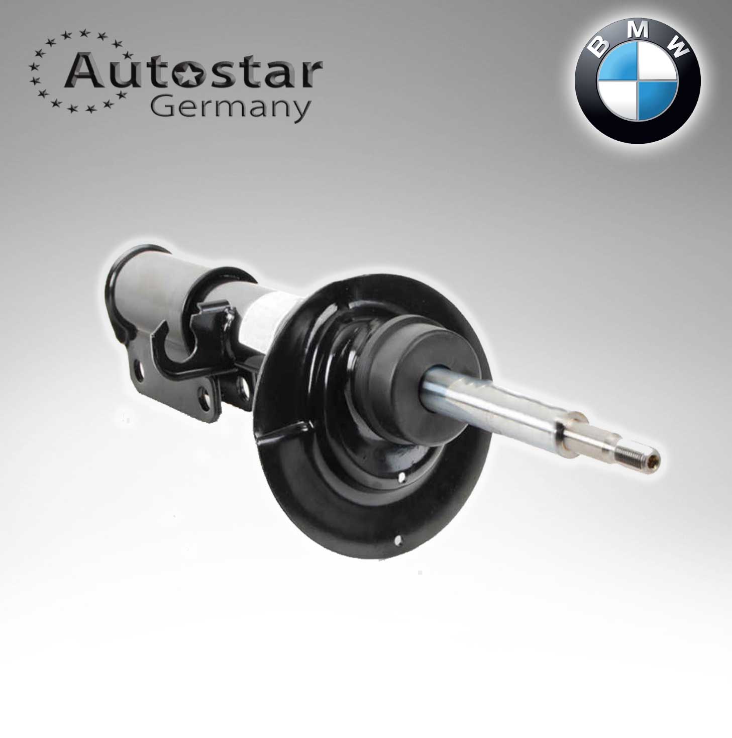 BMW SPRING STRUT  31316764602