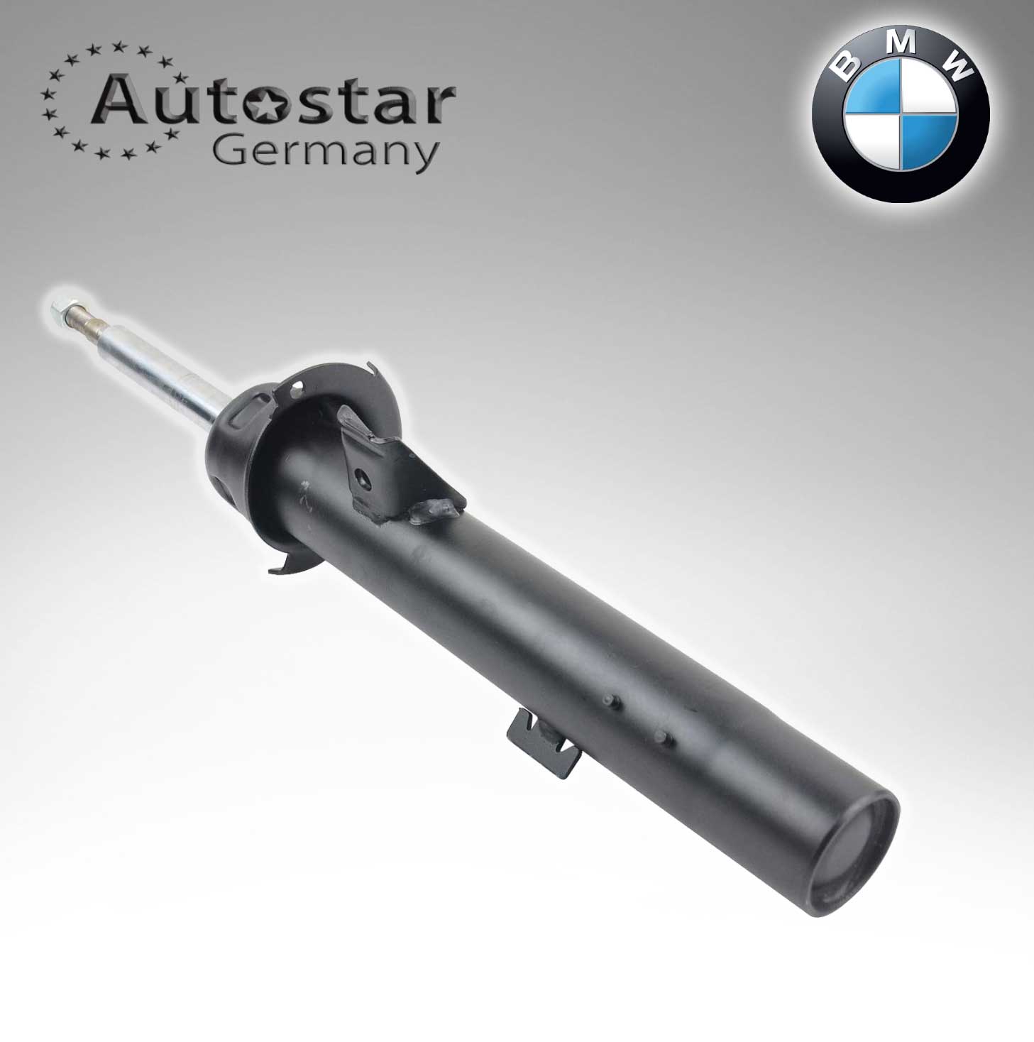 BMW SPRING STRUT FRONT RH E90. E91. E92. E93  31316771724