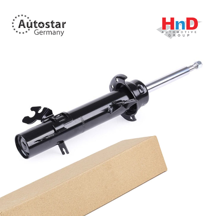 Autostar Germany Shock absorber Left, MINI Roadster (R59) 31316782209