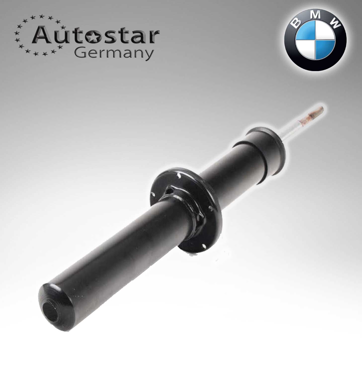 Autostar Germany SPRING STRUT For BMW E70 E71 E72 31316783016