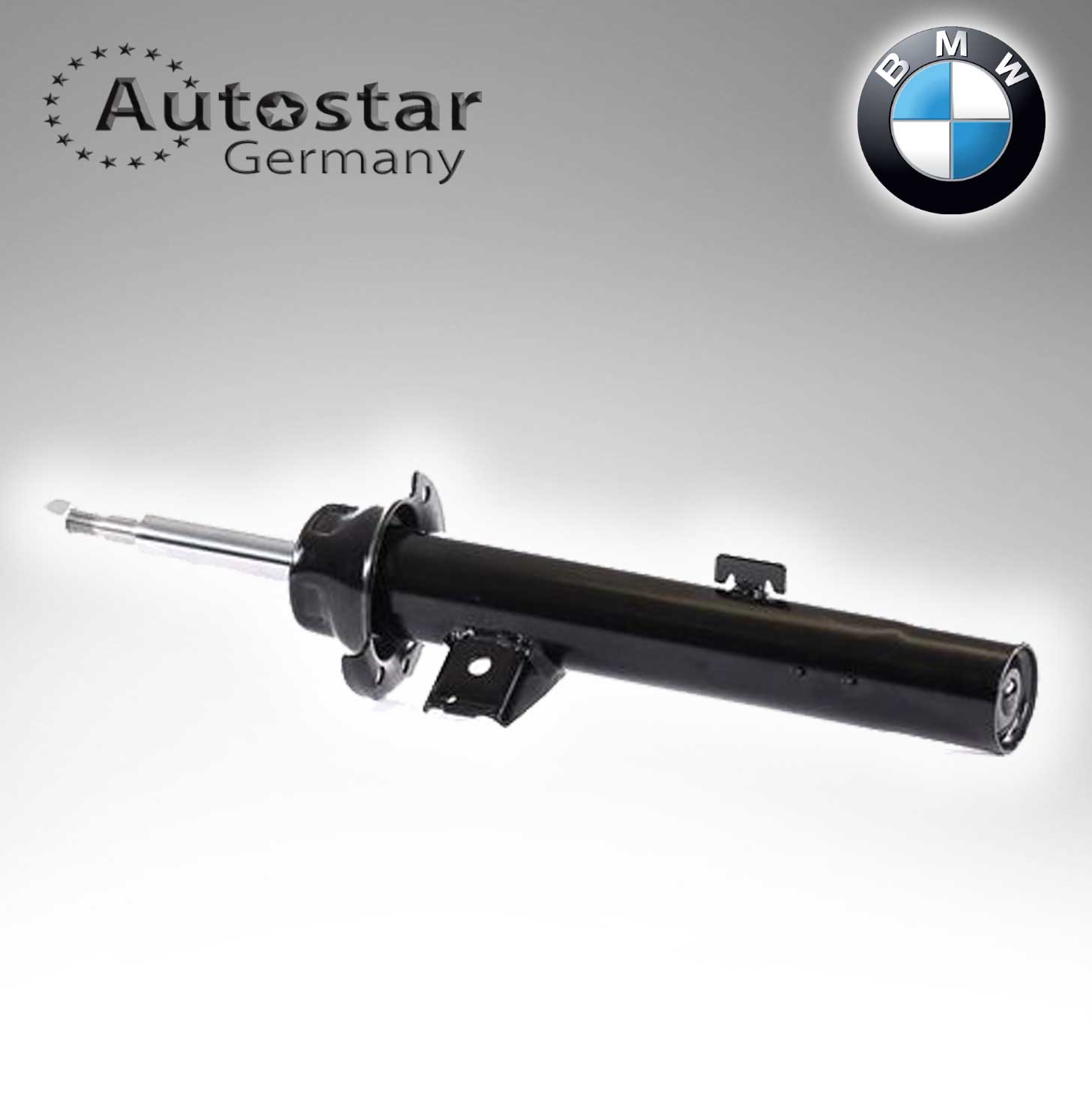 BMW SHOCK ABSORBER FRONT L E90-E93  31316786003