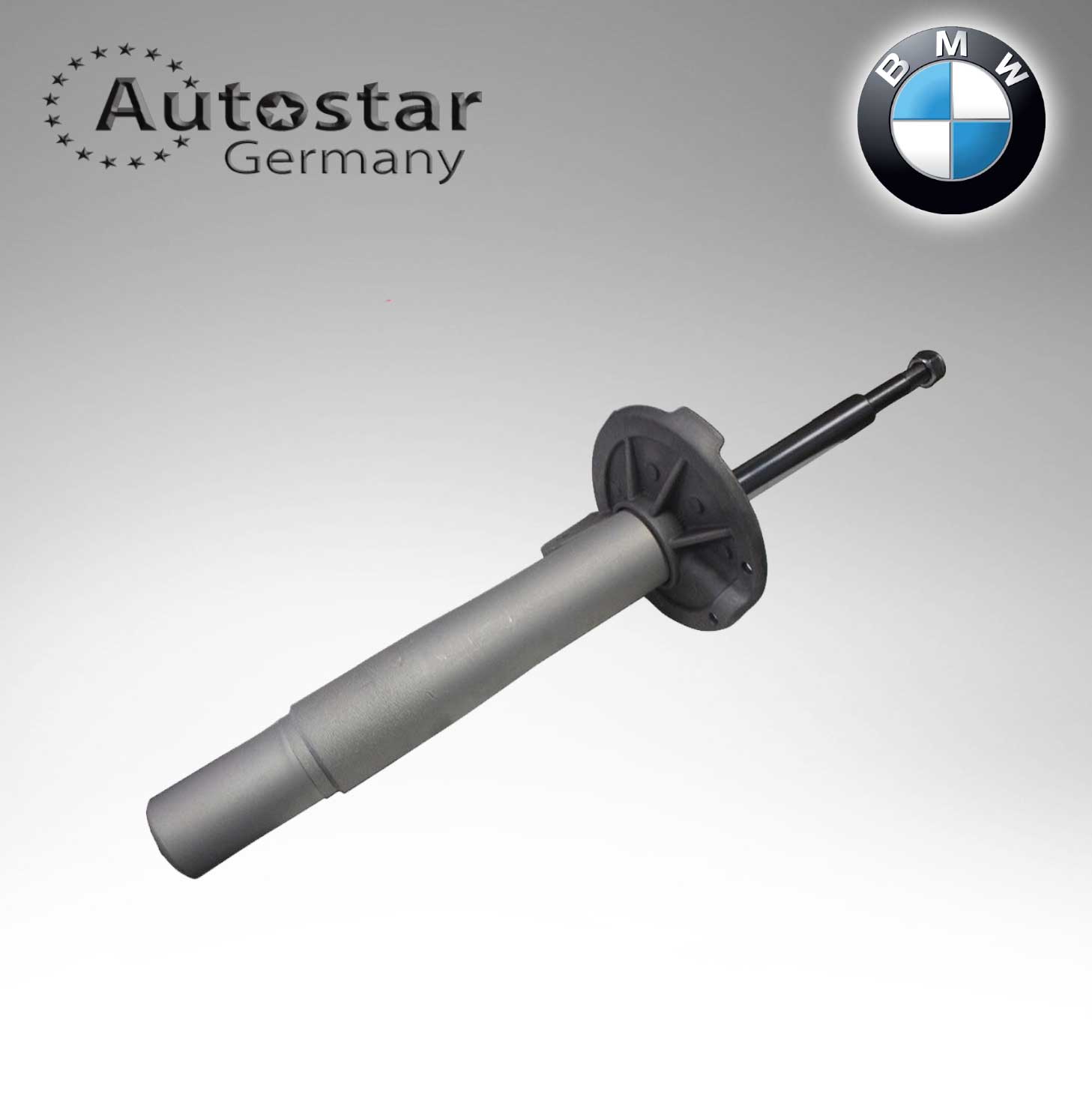 BMW SPRING STRUT FRONT R E65. E66. E67 31316786532