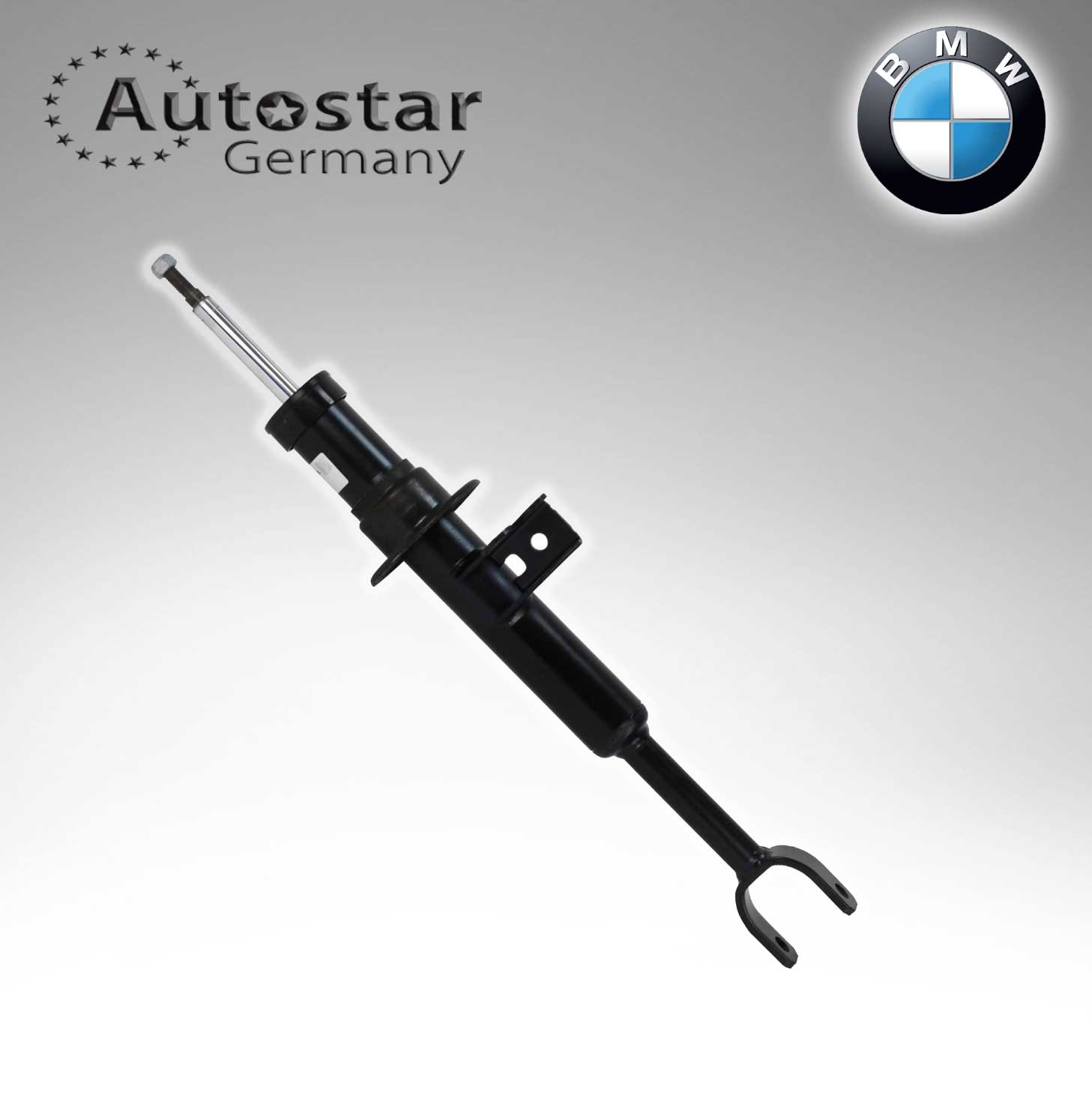 Autostar Germany SPRING STRUT FRONT For BMW F10 F11 F06 31316789363