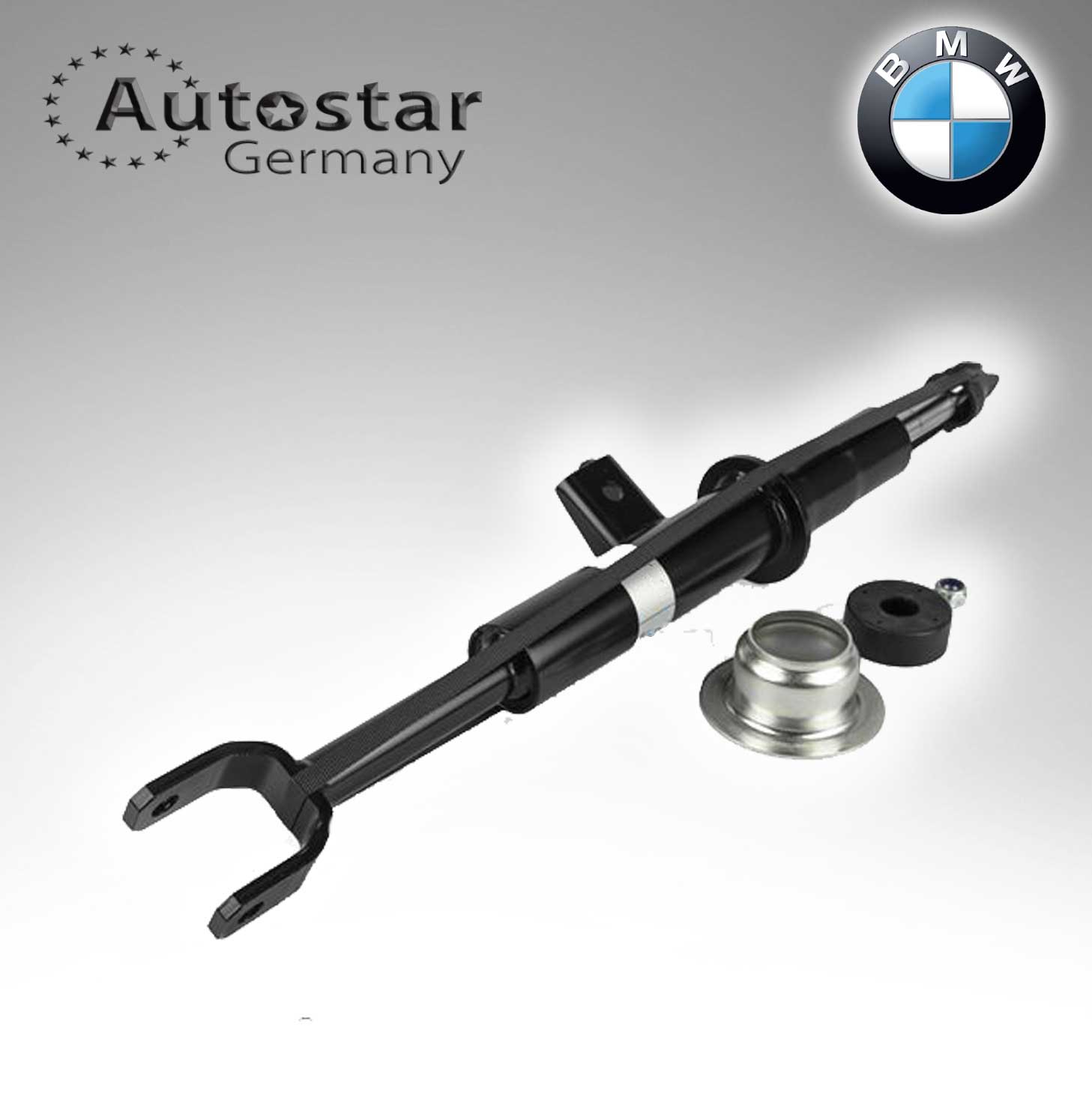 Autostar Germany SHOCK ABSORBER For BMW F10 F11 F06 31316789364