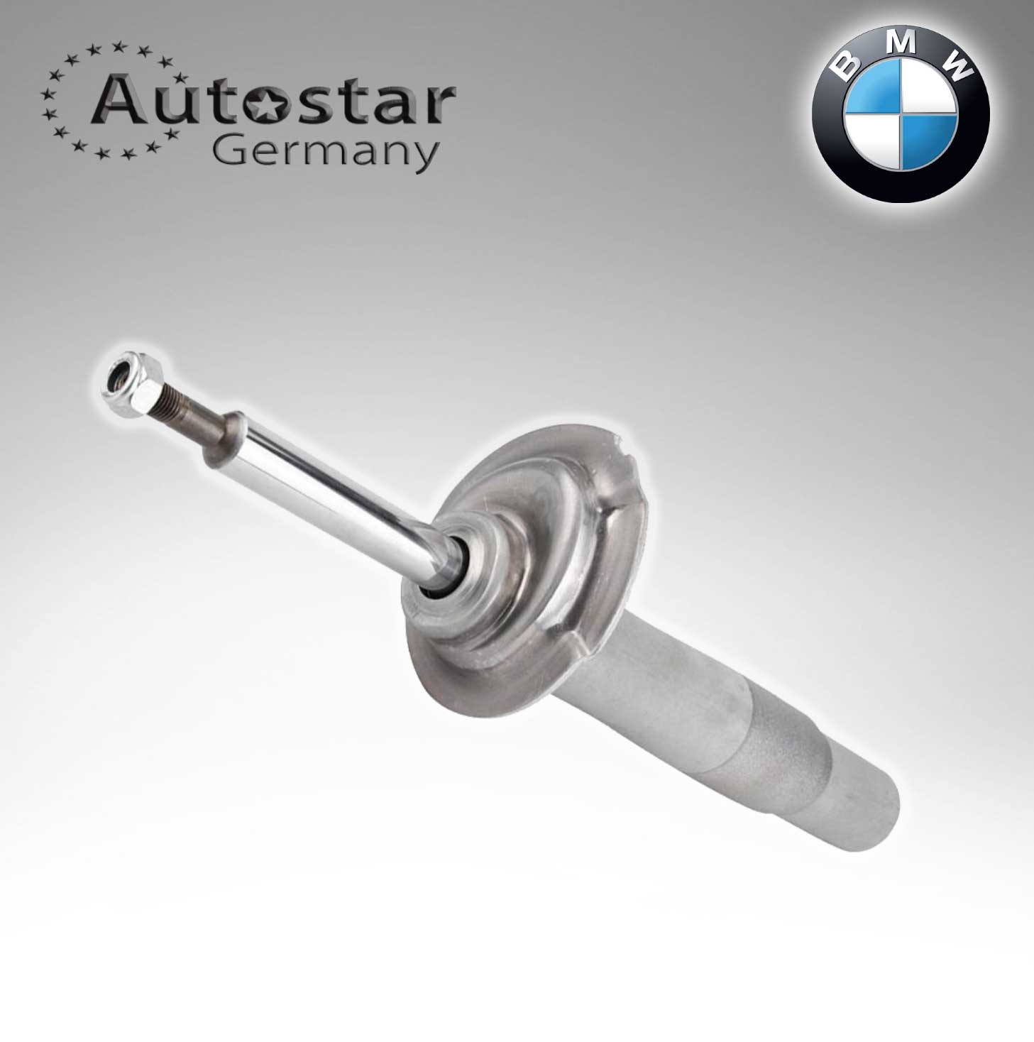 BMW SPRING STRUT E60 FRONT RH  31326764458