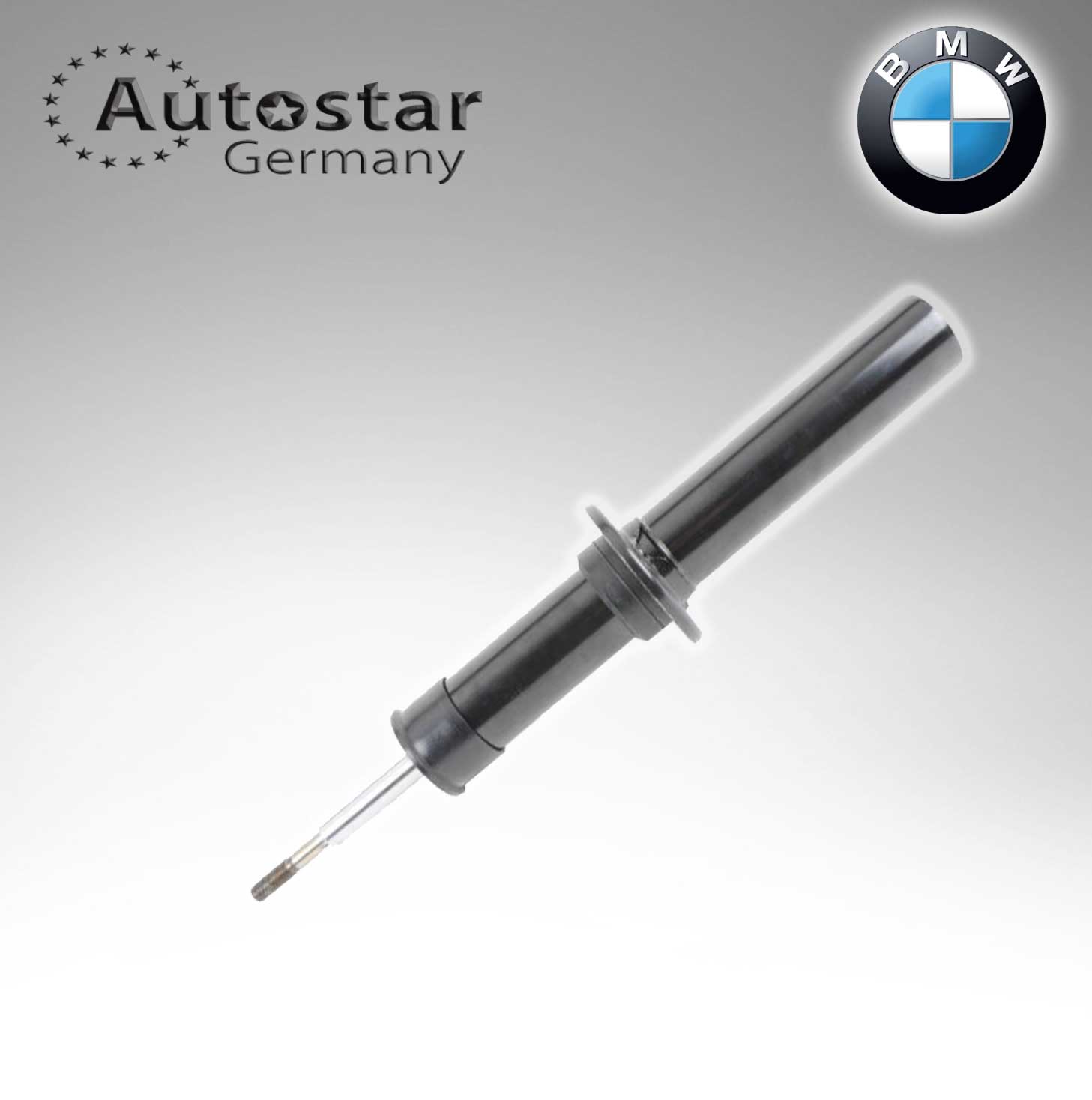 Autostar Germany SPRING STRUT FRONT L+R For BMW E70 E71 31326781918