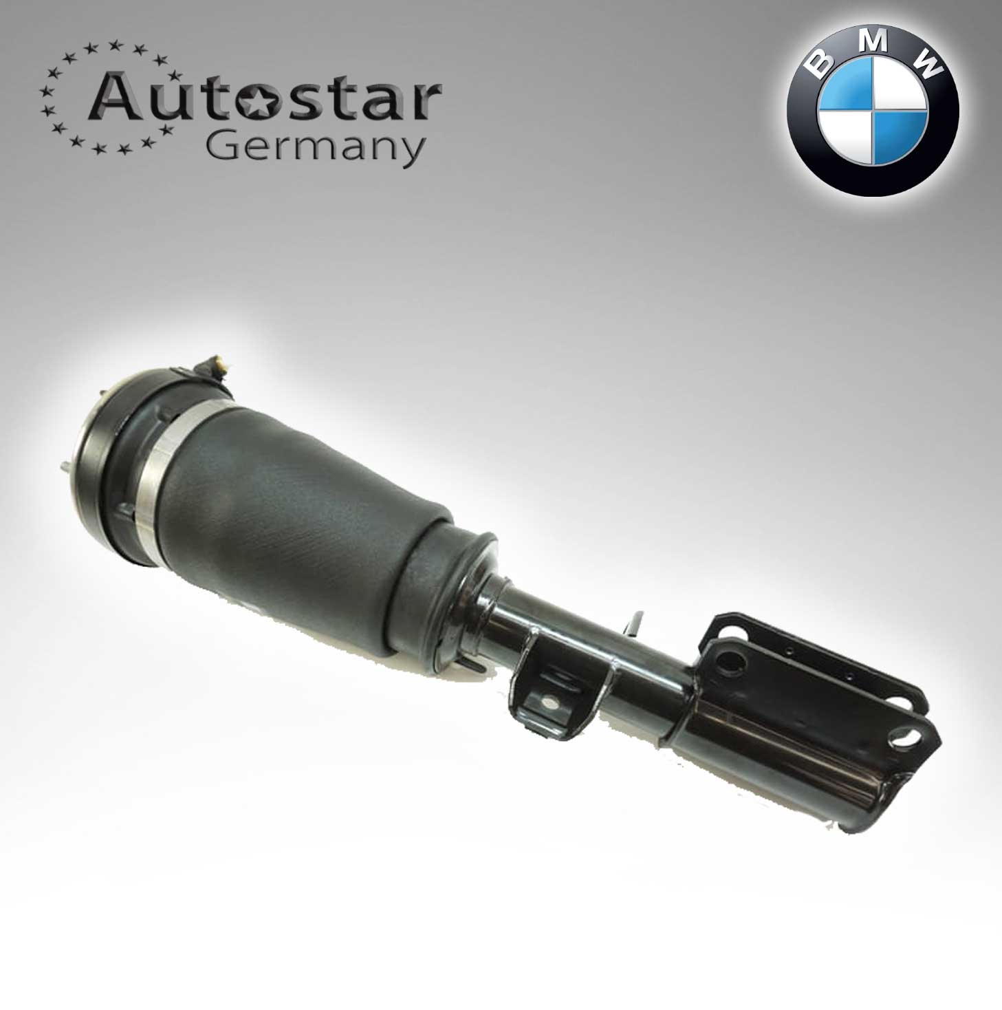 BMW SHOCK FR X5 LH  AIR  37116761443