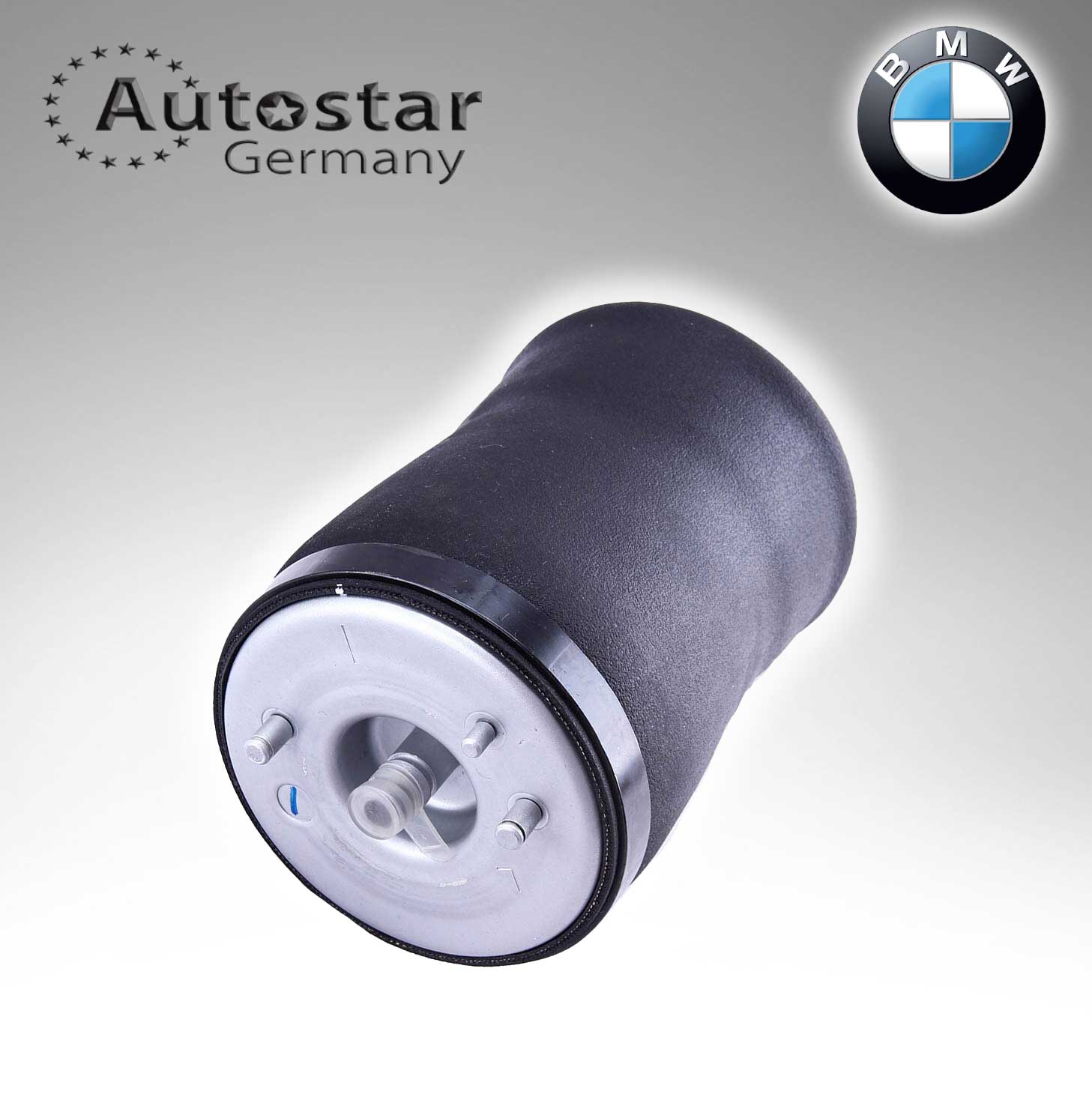 BMW AIR SPRING X5/ E53 37121095579 37126750355