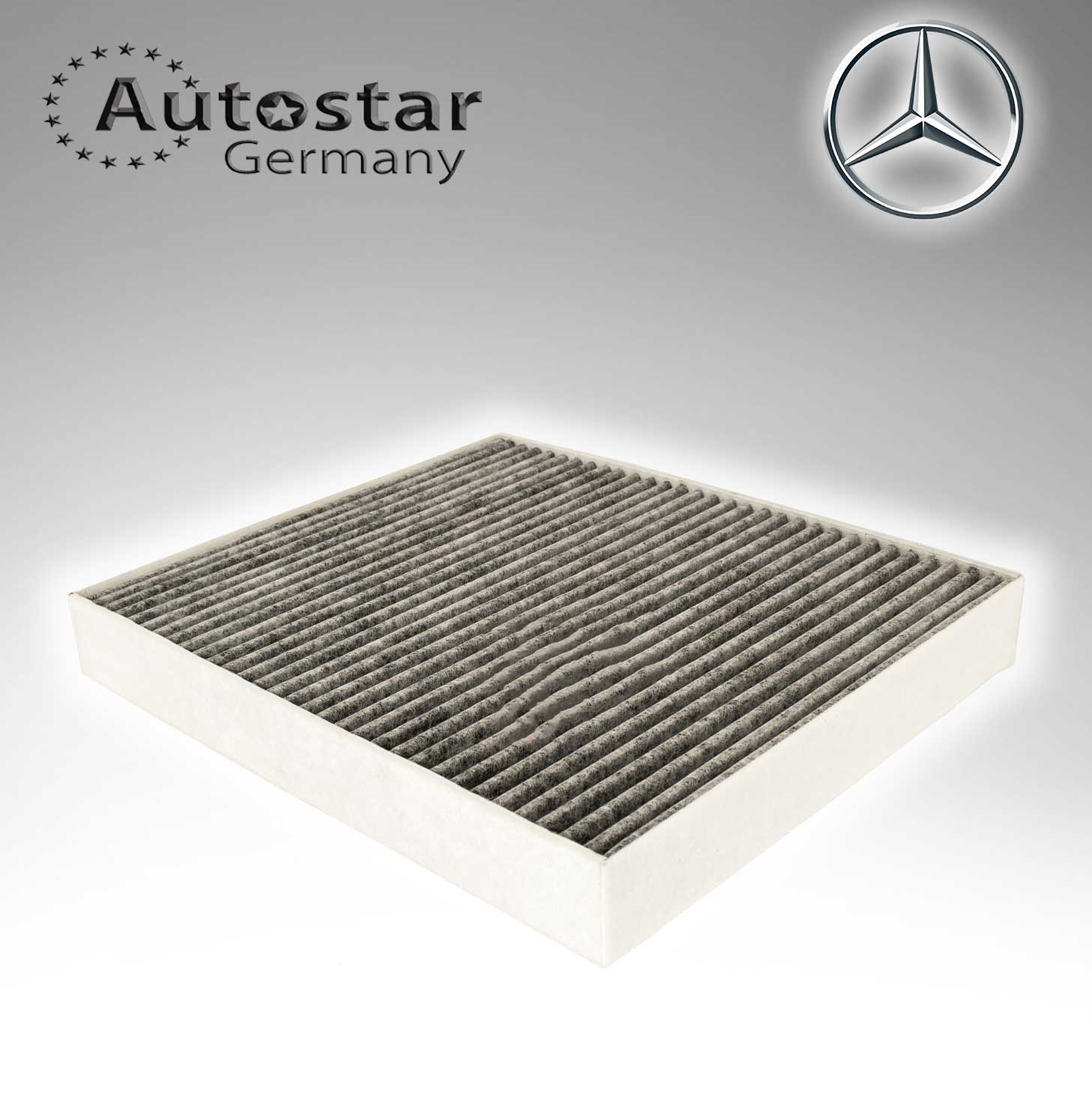 Mercedes Benz CABIN AIR FILTER W463 CARBON FIBER 4638300018